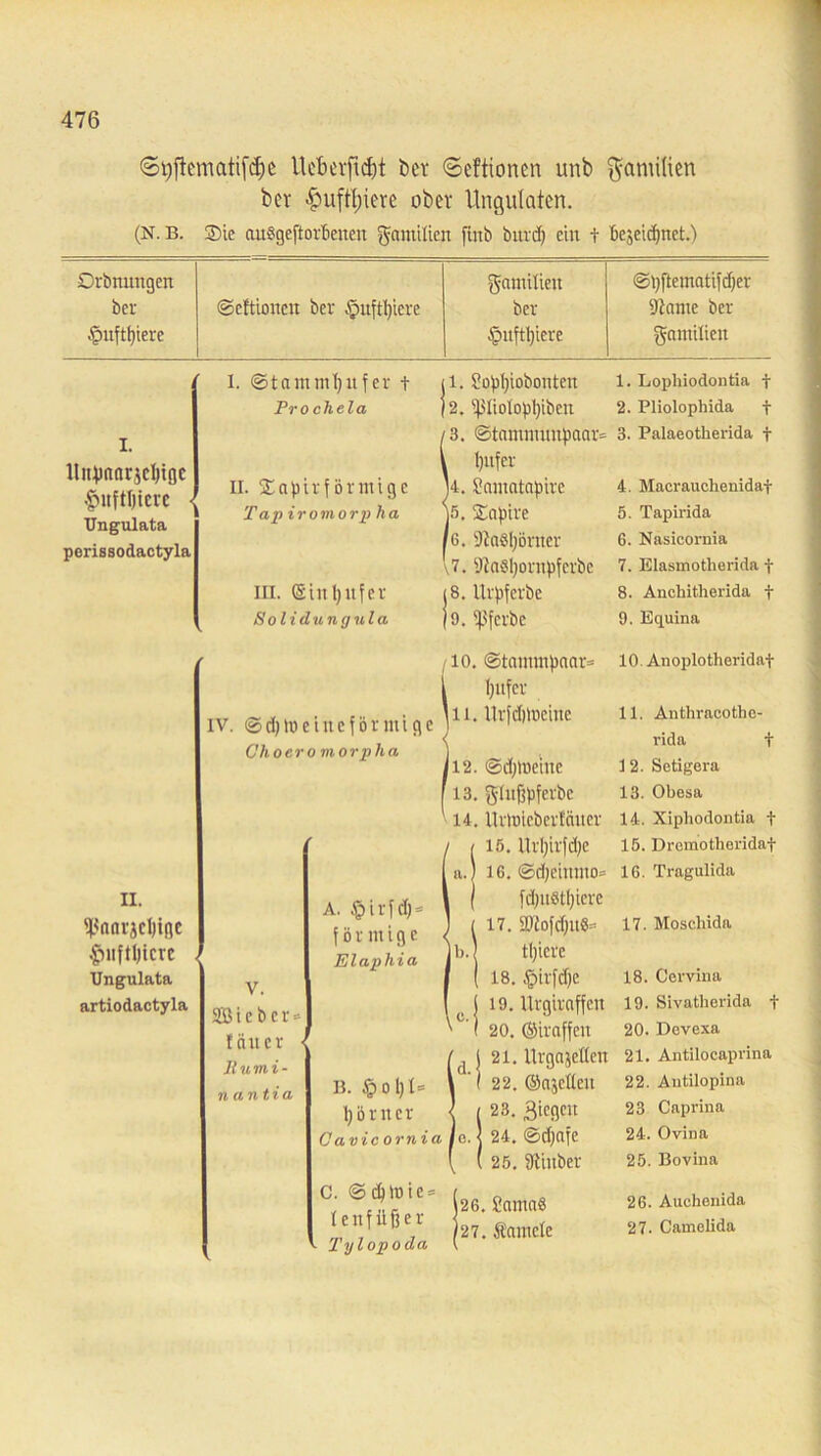 <5t)f}ematif$e Ucbevfi^t bet ©eftionen unb Familien bcr £>uftljiere ober Ungulatcn. (N. B. Sie auSgeftorbeiten gnmilten finb bitrd) ein t bejeidjnet.) Drbmtngen gctmilieit ©pftematifdjer ber ©eftioueu ber §uftl)iere ber ■Jiante ber ■fpuftpiere £ntftl)iere ganiilicu 1. © t a ut m 1) u f c r t l. £opl)iobontett 1. Lopliiodontia f Prochela 2. if$IioIopl)ibeit 2. Pliolophida f I 3. ©tamniunpaar» 3. Palaeotherida f Uitßnnrjcljigc £itftl)icvc - Ungulata perissodactyla II. Sapirf örmige Tap iromorp ha l)ufer 14. Sainatcipirc j5, Sopire 4. Macrauchenidaf 5. Tapirida 6. 9iaßl}öritcr ,7. yiaßljoritpfcrbe 6. Nasicornia 7. Elasmotlierida f in. (Sinl)ufer (8. Urpferbe 8. Anchitlierida f Solidungula 9. fpferbe 9. Equina ’ 10. ©taumipaar» 10 Anoplotheridaf iv. ©d)lt> eine förmige Chocromorpha l)itfer li. Urfdilneiue 11. Anthracothc- rida t 112. ©djtneiuc 1 2. Setigera 13. glufipferbc 13. Obosa 14. Urloicberfcittcr 14. Xiphodontia f II. fpnnrjclfigc .^uftljtcre Ungulata artiodactyla V. Sieber» lauer • llumi- n an tia A. $irfd) = förmige Elaphia ( b. i c. B. §ol)l= l)örner Cavicornia id. 15. ilrljirfdje 16. ©djemnto» fdptßtfyiere 17. ä)fofd)itß= tljierc 18. §irfd)e 19. Urgiraffen 20. ©iraffen 21. Urgajeflen 22. ©ajcUeit 23. Riegen 24. ©djafe 25. 9iiitber 15. Drcmothoridaf 16. Tragulida 17. Moscliida 18. Cervina 19. Sivatherida t 20. Devexa 21. Antilocaprina 22. Antilopina 23 Caprina 24. Ovina 25. Bovina C. © ctymie» ienfüfjer • Tylopoda 26. £amaß 27. Samcle 26. Auchenida 27. Camclida