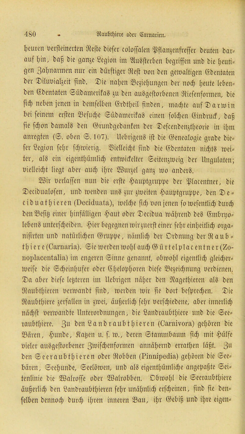 Ijeurcn nerfteinerten SRefte biefer coloffalen qSflanjenfrcffer beuten bar* auf f)in, baf bie ganje öegion im 9lu§fterben begriffen unb bie heuti- gen Safmarmen nur ein bürftiger Dtefi non ben gewaltigen ©bentaten ber Diluoialjeit ftnb. Die nal;en SBejtehungen ber noch heute leben* ben ©bentaten SübamerifaS ju ben auSgcftorbencn Otiefenformen, bie ftd) neben jenen in bemfdbcn ©rbtheil ftnben, machte auf Darmin bei feinem erften 93efud;e StibamerifaS einen folgen ©inbruef, bah fte fdjon bamal§ ben ©runbgebanfen ber Dcfccnbenjtheorie in il;m anregten (S. oben S. 107). UebrigenS ift bie ©cnealogie grabe bie* fer ßegion fet;r fdpoierig. Vielleicht ftnb bie ©bentaten nichts mei* ter, a(3 ein eigentümlich cntmicfcltcr ©eitenjmeig ber Ungulaten; oielleid)t liegt aber and; it;re Vßitrjel ganj mo anberS. 2ßir oerlaffcn nun bie erfte föauptgruppc ber fpiacentner, bie Dccibualofen, unb menben unS jur jmeiten ^auptgruppe, ben De* c i b u a 11; i c r en (Deciduata), melche fiel; non jenen fo mefentlid) burd) ben Veftfc einer hinfälligen #aut ober Decibua mährenb bc§ ©rnbrpo* lebcitS untcrfd;eiben. £ier begegnen mir juerft einer fein- einhcitlid; orga* nifirten unb natürlichen ©nippe, nämlich ber Drbnung berSRaub* 11;ierc(Carnaria). (Sicmerbenmol;(aud)©ürtclplacentner(Zo- noplacentalia) im engeren Sinne genannt, obmol;! eigentlich glcidter* meifc bie 6d)cinbufer ober ©helophorcn biefe Vejeidmttng oerbienen. Da aber biefe legieren im llcbrigen näher ben Vagethicren als ben Otaubthiercn nermanbt ftnb, merben mir fte bort bcfprcchert. Die 9taubtl)ierc verfallen in jpoci, äußerlich fel;r nerfd)iebcne, aber innerlich nädjft nermanbte Unterorbnungen > bie ßanbraubtlnere unb bie See* raubthicre. 3U ben ö a n b r a u b t h i c r e n (Carnivora) gehören bie Vären, fpunbe, halten it. f. m., beren Stammbaum fid; mit -fn'ilfc niclcr artSgefiorbener 3toifd)enformen atmähernb errathen läfjt. 3U ben Seeraubtl;ieren ober IRobben (Pinnipedia) gehören bie Sec* bären, Seehuttbe, Seelömen, unb als eigentümliche angepafte Sei* tenlinie bie Vöalroffe ober Vßalrobben. Dbrnol)! bie Seeraubthiere äuferlid) ben ßanbraubtl;ieren fel;r unäf;nlid; crfd;einen, ftnb fte ben* felben bennoch burch iljven inneren Vau, il;r ©ebijj unb ihre eigen*