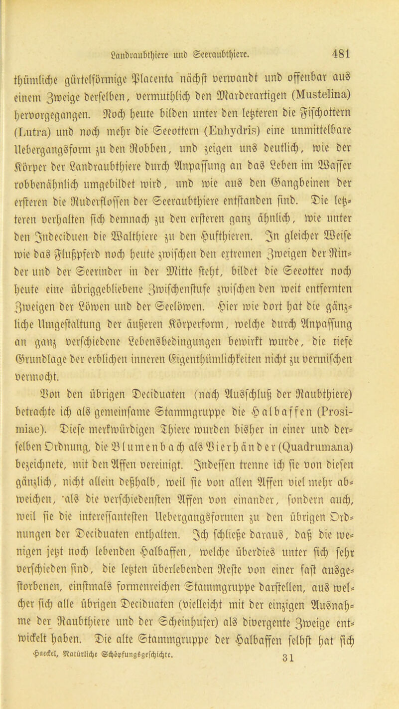 t^ümlicfie gürtelförmige ißlacenta nähfi oermanbt unb offenbar aud einem 3meigc berfelben, oermutblih ben -Dlarberartigen (Mustelina) beroorgegangen. 9tod) beute bilben unter ben festeren bie ftifdfottern (Lutra) unb nod; mehr bie ©ecottern (Enhydris) eine unmittelbare UebergangSform ju ben Otobben, unb jeigen und beutlid), mie ber ftürper ber öanbraubtbiere burd) Slnpaffung an bad ßeben im 2ßa[fer robbenäbnlih umgebilbet mirb, unb mie aud ben ©angbeinen ber erfderen bie SRuberfloffen ber ©eeraubtl;iere entftanben ftnb. 3)ie leb* teren »erhalten fid; benmad) ju ben elfteren ganj ähnlich, mie unter ben 3nbecibuen bie 2öattf;iere ju ben -fniftbieren. 3n gleidjer 2öeife mie bad ftlufpferb nocb beute jmifhen ben ejtremen ßtocigen ber 9tin* ber unb ber ©eerinber in ber iDtitte fiept, bilbet bie ©eeotter nod; beute eine übriggebliebene 3niifheiiftufe jmifhen ben meit entfernten 3meigen ber Sömen unb ber ©eelömen. «£>ier mie bort bat bie gän$* liebe llmgeftaltung ber dujjeren Äörperform, meldje burd) 91npaffung an ganj oerfduebene öebendbebingungen bemirft mürbe, bie tiefe ©runblage ber erblichen inneren ©igentbümlicbfeiten nicht $u oermifhett oermoht. 33on ben übrigen Decibuaten (nad) 2ludfd;lu§ ber Otaubtbiere) betrachte id) ald gcmcinfamc ©tammgruppe bie Halbaffen (Prosi- rniae). 3>iefc merfmürbigen ^bierc mürben bid(;er in einer unb ber= (eiben Drbnung, bie 231 u m e n b a <h ald 23 i e r I; ä n b e r (Quadrumana) bejeiepnete, mit ben 21ffen oereinigt. 3nbeffen trenne id) fte oon biefen gänzlich, nicht allein befpalb, meil fre oon allen 2lffen oiet mehr ab* meinen, ’ald bie oerfchiebenften 91ffen oon einanber, fonbern aud), meil fte bie intereffanteften llebergangdformen ju ben übrigen Drb* nungen ber 3)ecibuaten enthalten. 3h fhüefe baraud, baf bie me* nigen jetjt nod; lebenben Halbaffen, meld)c überbied unter (id) fel;r oerfebieben ftnb, bie lebten überlcbcnben SJtcfte oon einer fajt audge* (torbeitcn, einftmald formenreichen ©tatntngruppe barftellcn, aud mel* her fth alle übrigen 3>ecibuatcn (oielleicpt mit ber einzigen 2ludnap* me ber Dtaubtljiere unb ber ©d)einbu(er) ald bioergente 3meige ent* micfclt haben. £>ie alte ©tammgruppe ber Halbaffen felbft pat fth >&aecfel, Statürlidje <3$öpfung$gtfd)td)te. o i
