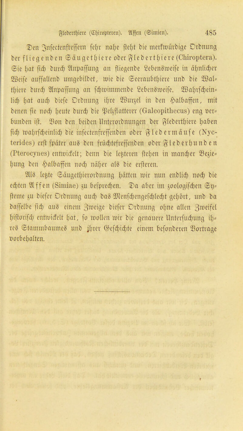 Den 3nfcctcnfteffcrn fcl;r nat;c jM)t bic mcrfroürbigc Drbnung bcr fiteg enbcn Säuget f;iere ober fiebert l;iere (Chiroptera). Sic l;at ftd? burcf) Slnpaffung an fliegenbe ßebengmeife in ähnlicher 2Beife auffallenb umgebilbet, mie bic Seeraubtl)iere unb bie 2BaU ttjicre bttrd) Slnpaffung an fcfnnümnenbe öebenSmeife. 3Ba[;vfd;cin= lief) Ijat and) biefc Drbnung ihre QBurjel in ben Halbaffen, mit benen ftc nod) fjeute bnvd) bie Pelzflatterer (Galeopitliecus) eng wer* bunben ift. SBon ben beiben itnterorbnungen ber $lebertbiere hoben ftd) mal)rfd)cintid) bie infectenfreffenben ober $lebermäufe (Nyc- terides) erft fpäter au8 ben friidptefreffenben ober $leb erbunb e n (Pterocynes) cntmicfelt; benn bie (enteren flehen in mancher SBejie* l)ung ben Halbaffen nod) näher a(8 bie erftcren. 3118 letzte Säugetbierorbnung batten mir nun enbliä) nod) bie ed)tcn Slffen (Simiae) ju befpredjen. Da aber im joologifdjen Sp= fteme ju biefer Drbnung and) ba8 9Jicnfd)engcfd)led)t gehört, unb ba baffelbe ftd) au§ einem 3tt)eige biefer Drbnung ol;ne allen ß^eifel biftorifd) entmicfelt bat, fo mollen mir bie genauere Unterfucbung itn re8 Stammbaume8 unb ihrer ©efd)id)te einem befonberen fBortrage Vorbehalten.