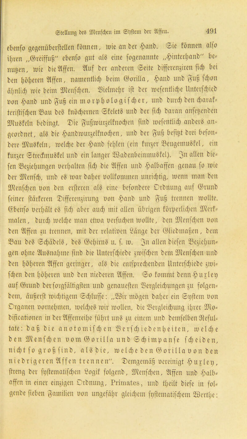 cbenfo gegenüherftcllen fönnen, mie an ber £anb. ©ie fönnen alio ihren „©reiffuff' cbcnfo gut als eine fogenannte „£interl;anb he* nufcen, mic bic2lffen. 2luf ber anbeven ©eite bifferenjiren fid) bei ben f;of;eren 2lffen, namentlich beim ©orilla, £anb unb $u§ fdmn ähnlich mie beim tötenden. Vielmehr ift ber mefentlidje llnterfdjieb non £anb unb $u§ ein m o rj> l) olo g if cf) er, unb burch ben cbaraf* teriftifd)en Sau bc§ fnödjernen ©felctä unb ber fuh baran anfe^enben StuSfeln bebingt. Die ^u§murjelfnod)en finb mefentlid) anbcrd an* georbnet, als bie f>anbmurzelfno<hen, unb ber Sufi befitjt brei befon= bere SWuSfeln, meldje ber £anb fehlen (ein furjer SeugemuSfel, ein furjer ©trecfmugfel unb ein langer BabenbeinmuSf'el). ijn allen bie* fen ^Beziehungen oerhalten fid; bie 3lffen unb Halbaffen genau (o mie ber Stenfcf), unb e8 mar baher oollfommen unrichtig, menn man ben Stenfd)en oon ben erfieren als eine befonberc Drbnung auf ©runb feiner ftärferen jDifferenjirung üon f>anb unb $11(3 trennen moüte. (Sbenfo 0 er hält e§ fid) aber and) mit allen übrigen förderlichen Stert* malen, burd) meiche man etma ocrfiuhen moüte, ben Stenfdjen Oon ben SXffen ju trennen, mit ber relatioen Sänge ber ©liebmafjen, bem Sau beS ©d)äbel3, be§ (M)irn3 u. f. m. 2>n allen bicfett Sejiel;un* gen ohne 2Iu8nahmc finb bie Itnterfchiebe jmifchen bem Stenfdpen unb ben höheren Riffen geringer, al8 bie entfpredjenbcn ltnterfd)iebe $mi* fd)en ben höheren unb ben nieberen Slffen. ©0 fomint beim-öurlct) auf ©runb berforgfältigften unb genaueften Sergleichungen ju folgen* bem, äufjerft mid)tigern ©d)luffe: „2öir mögen baher ein ©tjfiem Oon Organen oornehmen, mcldjcS mir mollen, bie Sergleid)ung ihrer Sto* bificationen in ber 5lffenreihe führt un§ ju einem unb bemfelben Dteful* täte: b a § bie a n 010 m i f d) c n S e r f d; i e b e n h e i t e n, m e l d) e b e n St e n f ch e n 0 0 m © 0 r i 11 a u n b © d) i m p a n f e f d; e i b e n, nicht fo g r 0 § finb, als bie, meldje ben ©orilla oon ben niebrigeren 9lffen trennen“. Demgemäß oereinigt f>ujlet), ftreng ber fhflematifdjen Sogif folgenb, Stenfdjen, Riffen unb £alb* affen in einer einzigen Drbnung, Primates, unb thcüt biefe in fol* genbe ficben Familien oon ungefähr gleichem fpftematifeliem Berthe:
