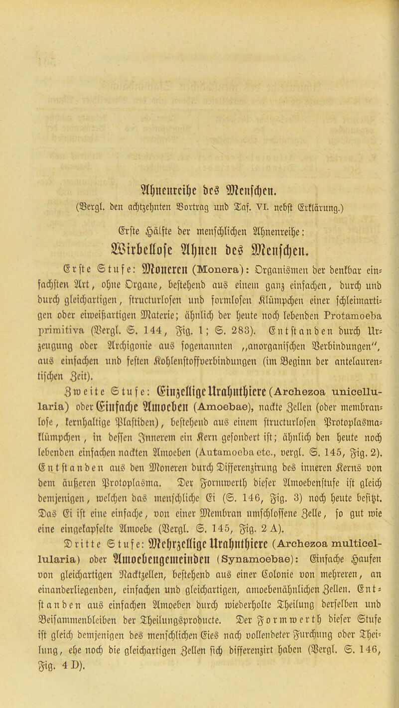 9fljnciirciljc bcS fDteitfdjen. (Söetgl. ben adjtjeljitten SSovtrag unb Oaf. VI. ncbft Grflärung.) Grfte §cilfte ber meitfdjlidjen Sinnenreize: Sirktfofe 9ll)ncu bcö ÜDZcufdjcu. Srfte Stufe: Volleren (Monera): Organismen ber bettlbar ein= fadfjften Slrt, of)ne Organe, bcfteljenb aus einem ganj einfadjen, burdj unb burdj gleidjartigen, ftructurlofen unb formlofcn ßlüntpdjen einer fcljleiniarti- gen ober eimeifjartigen fDtatcric; abnlidj ber (jeute nod) lebenben Protamoeba primitiya (Sergt. S. 144, gig. 1; S. 283). Gint[tanben burd) Ur= jeugung ober Slrdjigonic au§ fogenannten „anorganifdjen Serbinbungen, aus einfachen unb feftcn JMjlenftoffnerbinbungcn (im SBeginn ber antelaurem tifdjen 3eit). 3m eite Stufe: ©injClliQCltfaljUtljicrc (Archezoa unicellu- laria) ober (SillfndjC fjllttockll (Amoebae), nadte 3e(Icn (ober mcmbram lofe, fernljaltige ^laftiben), bcfteljenb aus einem ftructurlofen $rotoplaSnta= llümpdjeu , in beffen innerem ein Äern gefoubert ift; äbnlidj ben beute nod) lebenben cinfadicn nadten Sltnocben (Autamoeba etc., nergl. S. 145, $ig. 2). G U t ft a n b e n aus ben SBtoneren burd) SDifferengiruug beS inneren ÄernS non bem äujjeren SrotoplaSma. Oer g-ormioertb biefer Slmoebcnftufe ift glcidj bemjenigen, toeldjen baS inenfdjlidje Gi (S. 146, g-ig. 3) nod) beute befifct. Oa§ Gi ift eine einfadje, non einer [Dtembran umfdjloffcne 3elle, fo gut roie eine eingefapfelte Slmoebe (Sergl. S. 145, $ig. 2 A). Oritte Stufe: Wcljt^cfligc iIrnI)l!tbici‘C (Arehezoa multicel- lularia) ober SllUOckllljeiltcillbeH (Synamoebae): Ginfadje Raufen non gleidjartigen diadtjellen, beftebenb aus einer Golonie non mehreren, an einanberliegenbeu, einfadjen unb gleidjartigen, amoebenäljnlidjen3etlen. Guts ft a n b e n aus einfadjen Slmoeben burdj mieberljoltc Oljeilung berfelben unb Seifammenbleiben ber OljedungSprobucte. Oer gor mm er tb biefer Stufe ift gleidj bemjenigen beS menfdjlidjen GieS nadj uollenbeter gurdjiutg ober Sdjri1 hing, efje nodj bie gleidjartigen gellen fic^ bifferenjirt Ijnbcn (Sergl. S. 146, Si0. 4D).