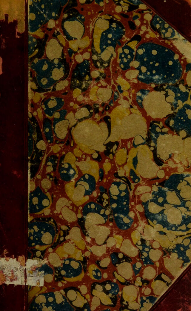 No text description is available for this image