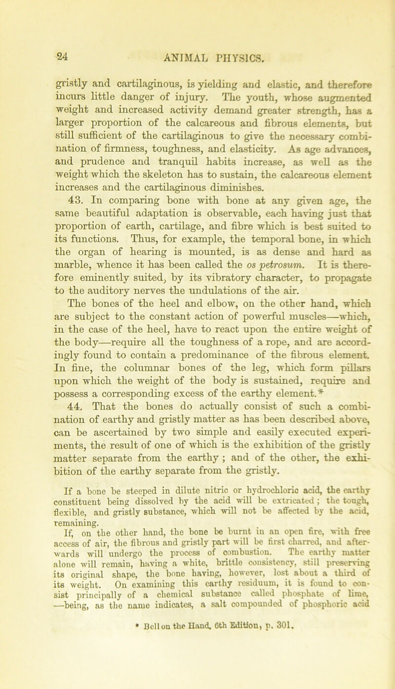 gristly and cartilaginous, is yielding and elastic, and therefore incurs little danger of injury. The youth, whose augmented weight and increased activity demand greater strength, has a larger proportion of the calcareous and fibrous elements, but still sufficient of the cartilaginous to give the necessary combi- nation of firmness, toughness, and elasticity. As age advances, and prudence and tranquil habits increase, as well as the weight which the skeleton has to sustain, the calcareous element increases and the cartilaginous diminishes. 43. In comparing bone with bone at any given age, the same beautiful adaptation is observable, each having just that proportion of earth, cartilage, and fibre which is best suited to its functions. Thus, for example, the temporal bone, in which the organ of hearing is mounted, is as dense and hard as marble, whence it has been called the os petrosvm. It is there- fore eminently suited, by its vibratory character, to propagate to the auditory nerves the undulations of the air. The bones of the heel and elbow, on the other hand, which are subject to the constant action of powerful muscles—which, in the case of the heel, have to react upon the entire weight of the body—require all the toughness of a rope, and are accord- ingly found to contain a predominance of the fibrous element. In fine, the columnar bones of the leg, which form pillars upon which the weight of the body is sustained, require and possess a corresponding excess of the earthy element.* 44. That the bones do actually consist of such a combi- nation of earthy and gristly matter as has been described above, can be ascertained by two simple and easily executed experi- ments, the result of one of which is the exhibition of the gristly matter separate from the earthy; and of the other, the exhi- bition of the earthy separate from the gristly. If a bone be steeped in dilute nitric or hydrochloric acid, the earthy- constituent being dissolved by the acid will be extricated ; the tough, flexible, and gristly substance, which will not be affected by the acid, remaining. If, on the other hand, the bone be burnt in an open fire, with free access of air, the fibrous and gristly part will be first charred, and after- wards will undergo the process of combustion. The earthy matter alone will remain, having a white, brittle consistency, still preserving its original shape, the bone having, however, lost about a third of its weight. On examining this earthy residuum, it is found to con- sist principally of a chemical substance called phosphate of lime, —being, as the name indicates, a salt compounded of phosphoric acid Bell on the Hand, 6th Edition, p. 301.