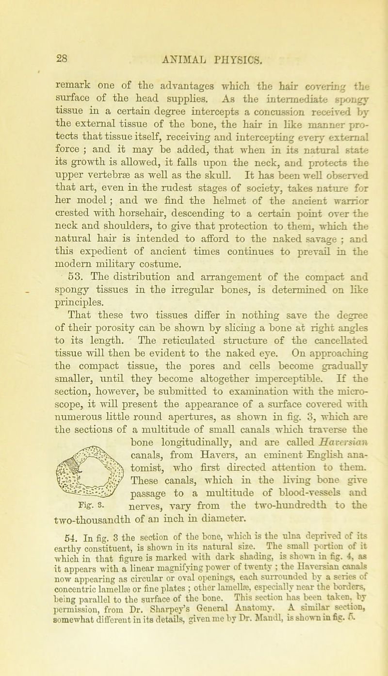remark one of the advantages which the hair covering the surface of the head supplies. As the intermediate spongy tissue in a certain degree intercepts a concussion received by the external tissue of the bone, the hair in like manner pro- tects that tissue itself, receiving and intercepting every external force ; and it may be added, that when in its natural state its growth is allowed, it falls upon the neck, and protects the upper vertebrae as well as the skull. It has been well observed that art, even in the rudest stages of society, takes nature for her model; and we find the helmet of the ancient warrior crested with horsehair, descending to a certain point over the neck and shoulders, to give that protection to them, which the natural hair is intended to afford to the naked savage ; and this expedient of ancient times continues to prevail in the modem military costume. 53. The distribution and arrangement of the compact and spongy tissues in the irregular bones, is determined on like principles. That these two tissues differ in nothing save the degree of their porosity can be shown by slicing a bone at right angles to its length. The reticulated structure of the cancellated tissue will then be evident to the naked eye. On approaching the compact tissue, the pores and cells become gradually smaller, until they become altogether imperceptible. If the section, however, be submitted to examination with the micro- scope, it will present the appearance of a surface covered with numerous little round apertures, as shown in fig. 3, which are the sections of a multitude of small canals which traverse the bone longitudinally, and are called Haversian canals, from Havers, an eminent English ana- tomist, who first directed attention to them. These canals, which in the living bone give passage to a multitude of blood-vessels and Pigr- 3. nerves, vary from the two-hundredth to the two-thousandth of an inch in diameter. 54. In fig. 3 the section of the hone, which is the ulna deprived of its earthy constituent, is shown in its natural size. The small portion of it which in that figure is marked with dark shading, is shown in fig. 4, as it appears with a linear magnifying power of twenty l the Haversian canals now appearing as circular or oval openings, each surrounded by a series of concentric lamellm or fine plates ; other lamella', especially near the borders, being parallel to the surface of the bone. This section has been taken, by permission, from Dr. Sharpey’s General Anatomy. A similar section, somewhat different in its details, given me by Dr. Mandl, is shown in fig. 5.