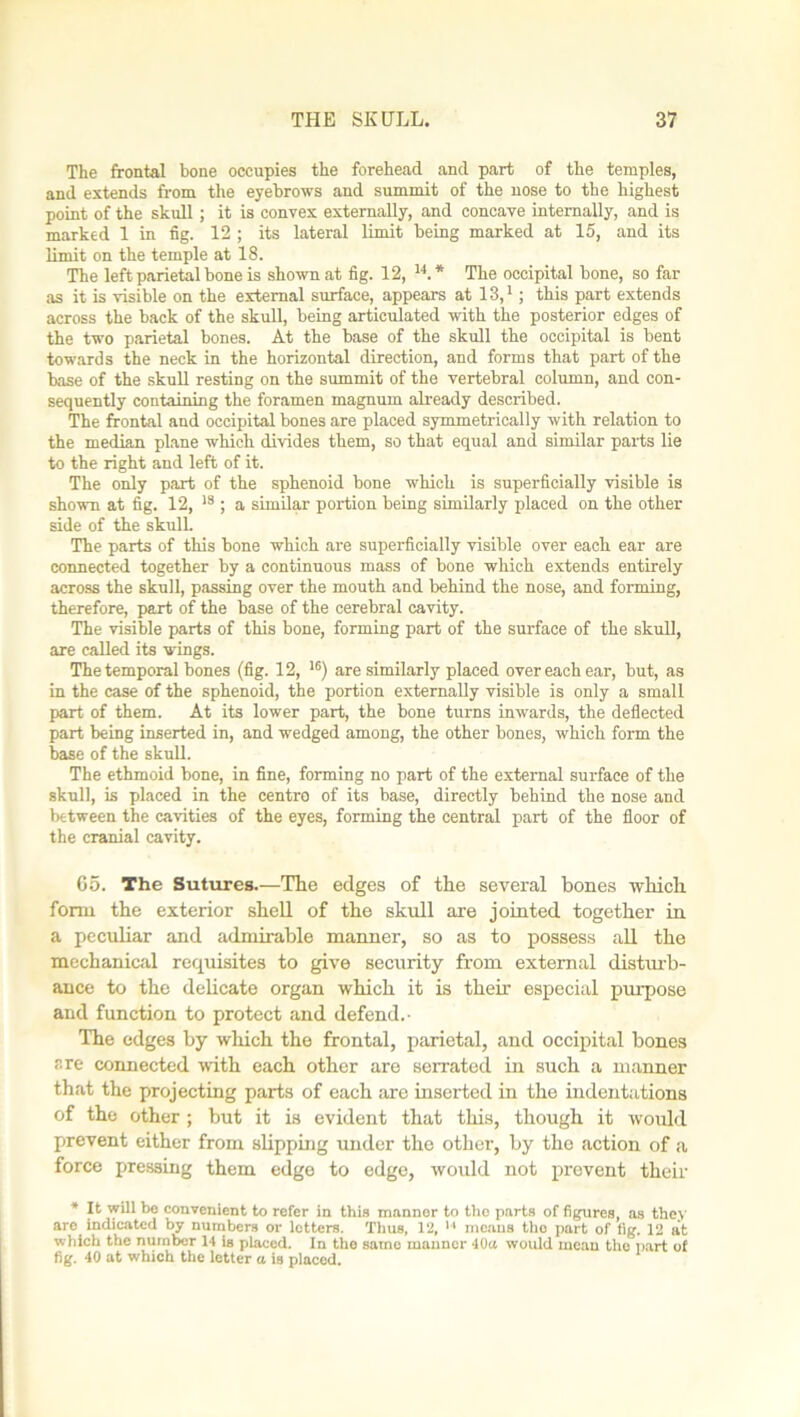The frontal bone occupies the forehead and part of the temples, and extends from the eyebrows and summit of the nose to the highest point of the skull; it is convex externally, and concave internally, and is marked 1 in fig. 12 ; its lateral limit being marked at 15, and its limit on the temple at 18. The left parietal bone is shown at fig. 12, 14.* The occipital bone, so far as it is visible on the external surface, appears at 13,1; this part extends across the back of the skull, being articulated with the posterior edges of the two parietal bones. At the base of the skull the occipital is bent towards the neck in the horizontal direction, and forms that part of the base of the skull resting on the summit of the vertebral column, and con- sequently containing the foramen magnum already described. The frontal and occipital bones are placed symmetrically with relation to the median plane which divides them, so that equal and similar parts lie to the right and left of it. The only part of the sphenoid bone which is superficially visible is shown at fig. 12, 18 ; a similar portion being similarly placed on the other side of the skull. The parts of this hone which are superficially visible over each ear are connected together by a continuous mass of bone which extends entirely across the skull, passing over the mouth and behind the nose, and forming, therefore, part of the base of the cerebral cavity. The visible parts of this bone, forming part of the surface of the skull, are called its wings. The temporal bones (fig. 12, 16) are similarly placed over each ear, but, as in the case of the sphenoid, the portion externally visible is only a small part of them. At its lower part, the bone turns inwards, the deflected part being inserted in, and wedged among, the other bones, which form the base of the skull. The ethmoid bone, in fine, forming no part of the external surface of the skull, is placed in the centre of its base, directly behind the nose and between the cavities of the eyes, forming the central part of the floor of the cranial cavity. 65. The Sutures.—The edges of the several bones which form the exterior shell of the skull are jointed together in a peculiar and admirable manner, so as to possess all the mechanical requisites to give security from external disturb- ance to the delicate organ which it is their especial purpose and function to protect and defend.- The edges by which the frontal, parietal, and occipital bones are connected with each other are serrated in such a manner that the projecting parts of each are inserted in the indentations of the other; but it is evident that this, though it would prevent either from slipping under the other, by the action of a force pressing them edge to edge, would not prevent their * It will be convenient to refer in this manner to the parts of figures, as they are indicated by numbers or letters. Thus, 12, means the part of fig. 12 at which the number 14 is placed. In the same manner 40a would mean the part of fig. 40 at which the letter a is placed.