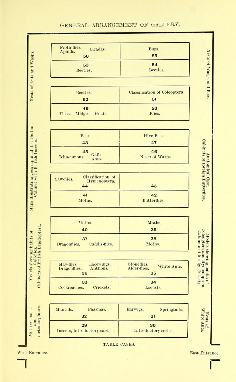 GENERAL ARRANGEMENT OF GALLERY, Froth-flies. Cicadas. Aphids. 56 Bugs. 55 53 Beetles. 54 Beetles. Beetles. Classification of Coleoptera. 52 51 49 50 Fleas. Midges. Gnats. Flies. Bees. Hive Bees. 48 47 45 r< 46 Ichneumons ^nte.' Nests of Wasps. a „ a • ™ Classification of Saw-flies. Hymenoptera. 44 43 41 Moths. 42 Butterflies. Moths. Moths. 40 39 37 38 Dragonflies. Caddis-flies. Moths. May-flies. Dragonflies. Lacewings. Antiions. Stoneflies. ., . , Alder-flies. Whlte Ants- 36 35 33 34 Cockroaches. Crickets. Locusts. Mantids. Phasmas. 32 Earwigs. Springtails. 31 29 Insects, introductory case. 30 j Introductory series. TABLE CASES. West Entrance. East Entrance. Nests of Wasps and Bees. Anatomical Case. Models showing habits of Nests of Cabinets of foreign Butterflies. Coleoptera and Hymenoptera. White Ants. Cabinets of foreign Insects.