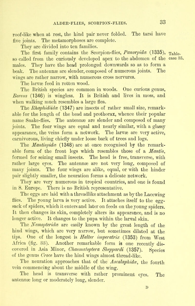 ALDER-FLIES, SCORPION-FLIES. roof-like when at rest, the hind pair never folded. The tarsi have five joints. The metamorphoses are complete. They are divided into ten families. The first family contains the Scorpion-flies, Panorpidw (1335), Table- so called from the curiously developed apex to the abdomen of the case 85. males. They have the head prolonged downwards so as to form a beak. The antennas are slender, composed of numerous joints. The wings are rather narrow, with numerous cross nervures. The larvae feed in rotten wood. The British species are common in woods. One curious genus, Borens (1346) is wingless. It is British and lives in moss, and when walking much resembles a large flea. The Rhaphidiidce (1347) are insects of rather small size, remark- able for the length of the head and prothorax, whence their popular name Snake-flies. The antennae are slender and composed of many joints. The four wings are equal and nearly similar, with a glassy appearance, the veins form a network. The larvae are very active, carnivorous, living chiefly under loose bark of trees and logs. The Mantispidce (1348) are at once recognised by the remark- able form of the front legs which resembles those of a Mantis, formed for seizing small insects. The head is free, transverse, with rather large eyes. The antennae are not very long, composed of many joints. The four wings are alike, equal, or with the hinder pair slightly smaller, the neuration forms a delicate network. They are very numerous in tropical countries, and one is found in S. Europe. There is no British representative. The eggs are laid with a threadlike attachment as by the Lace wing flies. The young larva is very active. It attaches itself to the egg- sack of spiders, which it enters and later on feeds on the young spiders. It then changes its skin, completely alters its appearance, and is no longer active. It changes to the pupa within the larval skin. The Nemopteridce are easily known by the great length of the hind wings, which are very narrow, but sometimes dilated at the tips. One of the longest is Halter imyeratrix (1353) from West Africa (fig. 33). Another remarkable form is one recently dis- covered in Asia Minor, Chasmatoptera Sheppardi (1357). Species of the genus Groce have the hind wings almost thread-like. The neuration approaches that of the Ascalaphidce, the fourth vein commencing about the middle of the wing. o o The head is transverse with rather prominent eyes. The antennae long or moderately long, slender. D