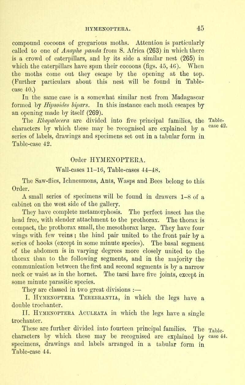 compound cocoons of gregarious moths. Attention is particularly called to one of Anaphe panda from S. Africa (263) in which there is a crowd of caterpillars, and by its side a similar nest (265) in which the caterpillars have spun their cocoons (figs. 45, 46). When the moths come out they escape by the opening at the top. (Further particulars about this nest will be found in Table- case 40.) In the same case is a somewhat similar nest from Madagascar formed by Hipsoides lipars. In this instance each moth escapes by an opening made by itself (269). The Rhopalocera are divided into five principal families, the characters by which these may be recognised are explained by a series of labels, drawings and specimens set out in a tabular form in Table-case 42. Order HYMENOPTERA. Wall-cases 11-16, Table-cases 44-48. The Saw-flies, Ichneumons, Ants, Wasps and Bees belong to this Order. A small series of specimens will be found in drawers 1-8 of a cabinet on the west side of the gallery. They have complete metamorphosis. The perfect insect has the head free, with slender attachment to the prothorax. The thorax is compact, the prothorax small, the mesothorax large. They have four wings with few veins ; the hind pair united to the front pair by a series of hooks (except in some minute species). The basal segment of the abdomen is in varying degrees more closely united to the thorax than to the following segments, and in the majority the communication between the first and second segments is by a narrow neck or waist as in the hornet. The tarsi have five joints, except in some minute parasitic species. They are classed in two great divisions :— I. Hymenoptera Terebrantia, in which the legs have a double trochanter. II. Hymenoptera Aculeata in which the legs have a single trochanter. These are further divided into fourteen principal families. The characters by which these may be recognised are explained by specimens, drawings and labels arranged in a tabular form in Table-case 44. Table- case 42 Table- case 44