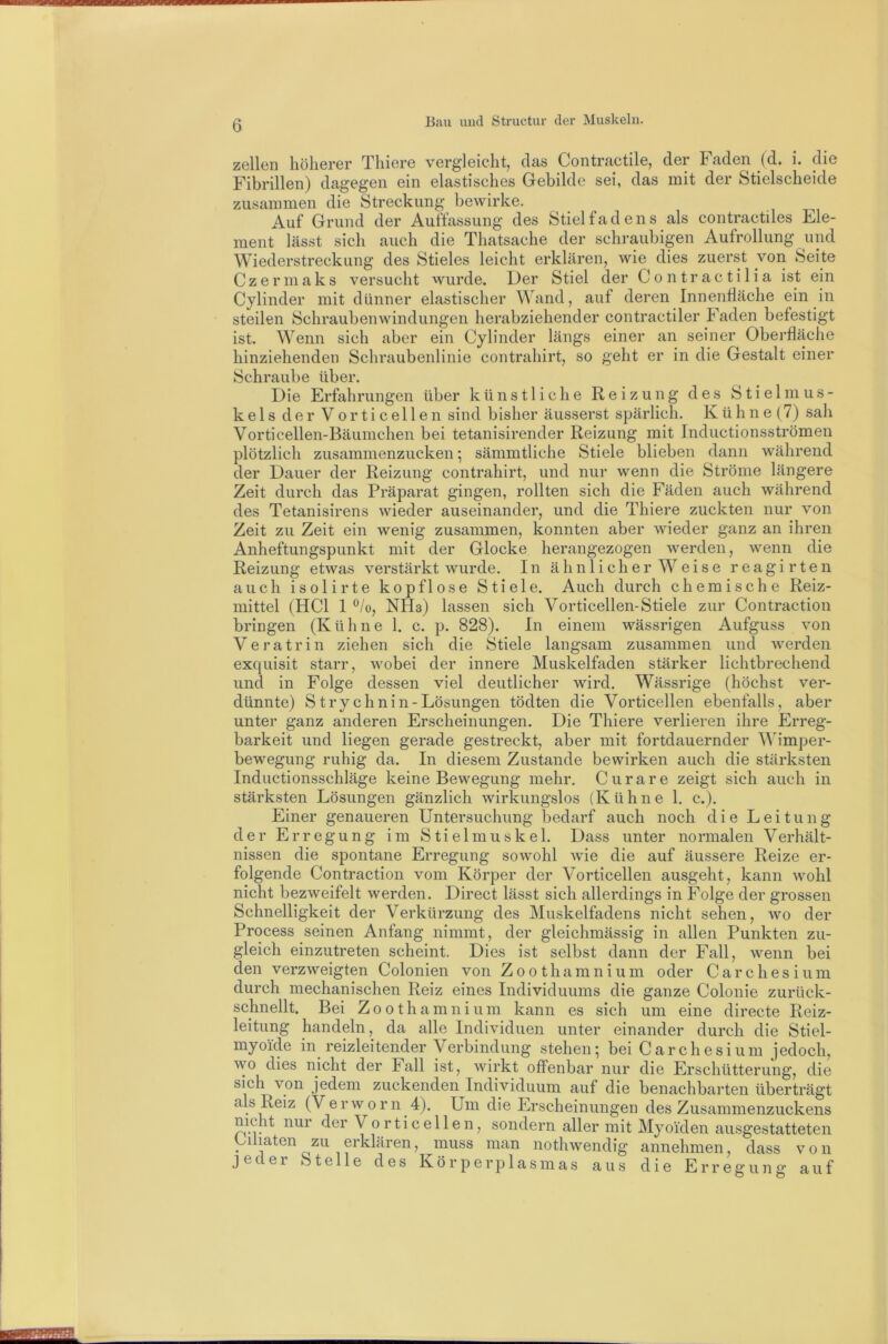 zellen liölierer Tliiere vergleicht^ das Contractile^ der Faden (d. i. die Fibrillen) dagegen ein elastisches Gebilde sei, das mit der Stielscheide zusammen die Streckung bewirke. Auf Grund der Auffassung des Stiel fad ens als contractiles Ele- ment lässt sich auch die Thatsache der schraubigen Aufrollung und Wiederstreckung des Stieles leicht erklären, wie dies zuerst von Seite Czerniaks versucht wurde. Der Stiel der Contractilia ist ein Cylinder mit dünner elastischer Wand, auf deren Innenfläche ein in steilen Schraubenwindungen herabziehender contractiler Faden befestigt ist. Wenn sich aber ein Cylinder längs einer an seiner Oberfläche hinziehenden Schraubenlinie contrahirt, so geht er in die Gestalt einer Schraube über. Die Erfahrungen über künstliche Reizung des Stielmus- kels der Vorticellen sind bisher äusserst spärlich. Kühne (7) sah Vorticellen-Bäumchen bei tetanisirender Reizung mit Inductionsströmen plötzlich zusammenzucken; sämmtliche Stiele blieben dann während der Dauer der Reizung contrahirt, und nur wenn die Ströme längere Zeit durch das Präparat gingen, rollten sich die Fäden auch während des Tetanisirens wieder auseinander, und die Thiere zuckten nur von Zeit zu Zeit ein wenig zusammen, konnten aber wieder ganz an ihren Anheftungspunkt mit der Glocke herangezogen werden, wenn die Reizung etwas verstärkt wurde. In ähnlicher Weise reagirten auch isolirte kopflose Stiele. Auch durch chemische Reiz- mittel (HCl 1 ^lo, NHa) lassen sich Vorticellen-Stiele zur Contraction bringen (Kühne 1. c. p. 828). In einem wässrigen Aufguss von Veratrin ziehen sich die Stiele langsam zusammen und werden excjuisit starr, wobei der innere Muskelfaden stärker lichtbrechend und in Folge dessen viel deutlicher wird. Wässrige (höchst ver- dünnte) Strychnin-Lösungen tödten die Vorticellen ebenfalls, aber unter ganz anderen Erscheinungen. Die Thiere verlieren ihre Erreg- barkeit und liegen gerade gestreckt, aber mit fortdauernder Wimper- bewegung ruhig da. In diesem Zustande bewirken auch die stärksten Inductionsschläge keine Bewegung mehr. Curare zeigt sich auch in stärksten Lösungen gänzlich wirkungslos (Kühne 1. c.). Einer genaueren Untersuchung bedarf auch noch die Leitung der Erregung im Stielmuskel. Dass unter normalen Verhält- nissen die spontane Erregung sowohl wie die auf äussere Reize er- folgende Contraction vom Körper der Vorticellen ausgeht, kann wohl nicht bezweifelt werden. Direct lässt sich allerdings in Folge der grossen Schnelligkeit der Verkürzung des Muskelfadens nicht sehen, wo der Process seinen Anfang nimmt, der gleichmässig in allen Punkten zu- gleich einzutreten scheint. Dies ist selbst dann der Fall, wenn bei den verzweigten Colonien von Zoothamnium oder Carchesium durch mechanischen Reiz eines Individuums die ganze Colonie zurück- schnellt. Bei Zoothamnium kann es sich um eine directe Reiz- leitung handeln, da alle Individuen unter einander durch die Stiel- myoide in_ reizleitender Verbindung stehen •, bei C a r c h e s i u m jedoch, wo dies nicht der Fall ist, wirkt offenbar nur die Erschütterung, die sich von jedem zuckenden Individuum auf die benachbarten überträgt als Reiz (Verworn 4). Um die Erscheinungen des Zusammenzuckens nicht nur der Vorticellen, sondern aller mit Myoiden ausgestatteten Cihaten zu erklären, muss man nothwendig annehmen, dass von J e c e r Stelle des K ö r p e r p 1 a s m a s aus die E r r e g u n g auf
