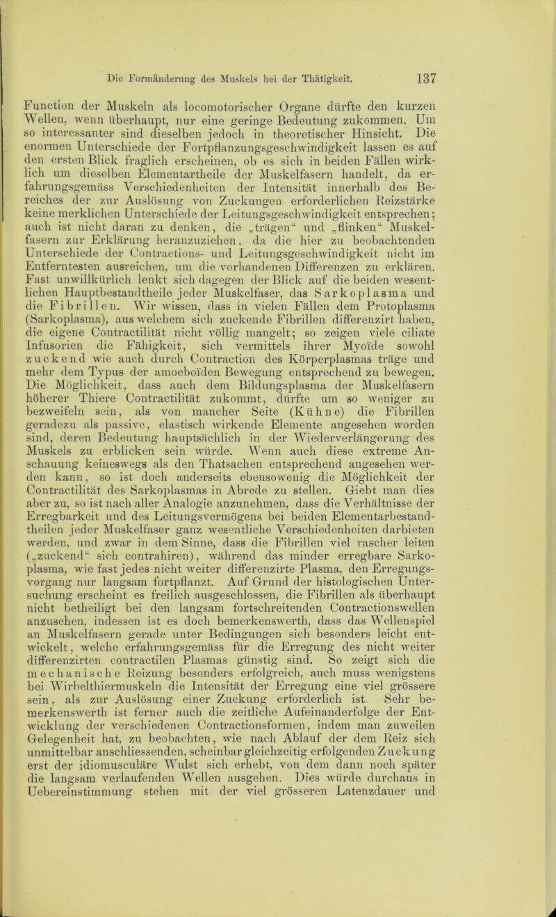 Function der Muskeln als locomotorischer Organe dürfte den kurzen Wellen, wenn überhaupt, nur eine geringe Bedeutung zukominen. Um so interessanter sind dieselben jedoch in theoretischer Hinsicht. Die enormen Unterschiede der FortpHanzungsgeschwindigkeit lassen es auf den ersten Blick fraglich erscheinen, ob es sich in beiden Fällen wirk- lich um dieselben Elementartheile der Muskelfasern handelt, da er- tahrungsgemäss Verschiedenheiten der Intensität innerhalb des Be- reiches der zur Auslösung von Zuckungen erforderlichen Reizstärke keine merklichen Unterschiede der Leitungsgeschwindigkeit entsprechen; auch ist nicht daran zu denken, die „trägen“ und „flinken“ Muskel- fasern zur Erklärung heranzuziehen, da die hier zu beobachtenden Unterschiede der Contractions- und Leitungsgeschwindigkeit nicht im Entferntesten ausreiehen, um die vorhandenen Differenzen zu erklären. Fast unwillkürlich lenkt sich dagegen der Blick auf die beiden wesent- lichen Hauptbestandtheile jeder Muskelfaser, das Sarkoplasma und die Fibrillen. Wir wissen, dass in vielen Fällen dem Protoplasma (Sarkoplasma), aus welchem sich zuckende Fibrillen differenzirt haben, die eigene Contractilität nicht völlig mangelt; so zeigen viele ciliate Infusorien die Fähigkeit, sich vermittels ihrer Myoide sowohl zuckend wie auch durch Contraction des Körperplasmas träge und mehr dem Typus der amoeboiden Bewegung entsprechend zu bewegen. Die Möglichkeit, dass auch dem Bildungsplasma der Muskelfasern höherer Thiere Contractilität zukommt, dürfte um so weniger zu bezweifeln sein, als von mancher Seite (Kühne) die Fibrillen geradezu als passive, elastisch wirkende Elemente angesehen worden sind, deren Bedeutung hauptsächlich in der Wiederverlängerung des Muskels zu erblicken sein Avürde. Wenn auch diese extreme An- schauung keineswegs als den Thatsachen entsprechend angesehen wer- den kann, so ist doch anderseits ebensowenig die Möglichkeit der Contractilität des Sarkoplasmas in Abrede zu stellen. Griebt man dies aber zu, so ist nach aller Analogie anzunehmen, dass die Verhältnisse der Erregbarkeit und des Leitungsvermögens bei beiden Elementarbestand- theilen jeder Muskelfaser ganz wesentliche Verschiedenheiten darbieten werden, und zwar in dem Sinne, dass die Fibrillen viel rascher leiten („zuckend“ sich contrahiren), während das minder erregbare Sarko- plasma, wie fast jedes nicht Aveiter differenzirte Plasma, den Erregungs- vorgang nur langsam fortpflanzt. Auf Grund der histologischen Unter- suchung erscheint es freilich ausgeschlossen, die Fibrillen als überhaupt nicht betheiligt bei den langsam fortschreitenden Contractionswellen anzusehen, indessen ist es doch bemerkensAverth, dass das Wellenspiel an Muskelfasern gerade unter Bedingungen sich besonders leicht ent- Avickelt, welche erfahrungsgemäss für die Erregung des nicht Aveiter differenzirten contractilen Plasmas günstig sind. So zeigt sich die mechanische Reizung besonders erfolgreich, auch muss Avenigstens bei Wirbelthiermuskeln die Intensität der Erregung eine viel grössere sein, als zur Auslösung einer Zuckung erforderlich ist. Sehr be- merkensAA^erth ist ferner auch die zeitliche Aufeinanderfolge der Ent- wicklung der verschiedenen Contractionsformen, indem man zuAveilen Gelegenheit hat, zu beobachten, Avie nach Ablauf der dem Reiz sich unmittelbar anschliessenden, scheinbar gleichzeitig erfolgenden Zuckung erst der idiomusculäre Wulst sich erhebt, von dem dann noch später die langsam verlaufenden Wellen ausgehen. Dies würde durchaus in Uebereinstimmung stehen mit der viel grösseren Latenzdauer und