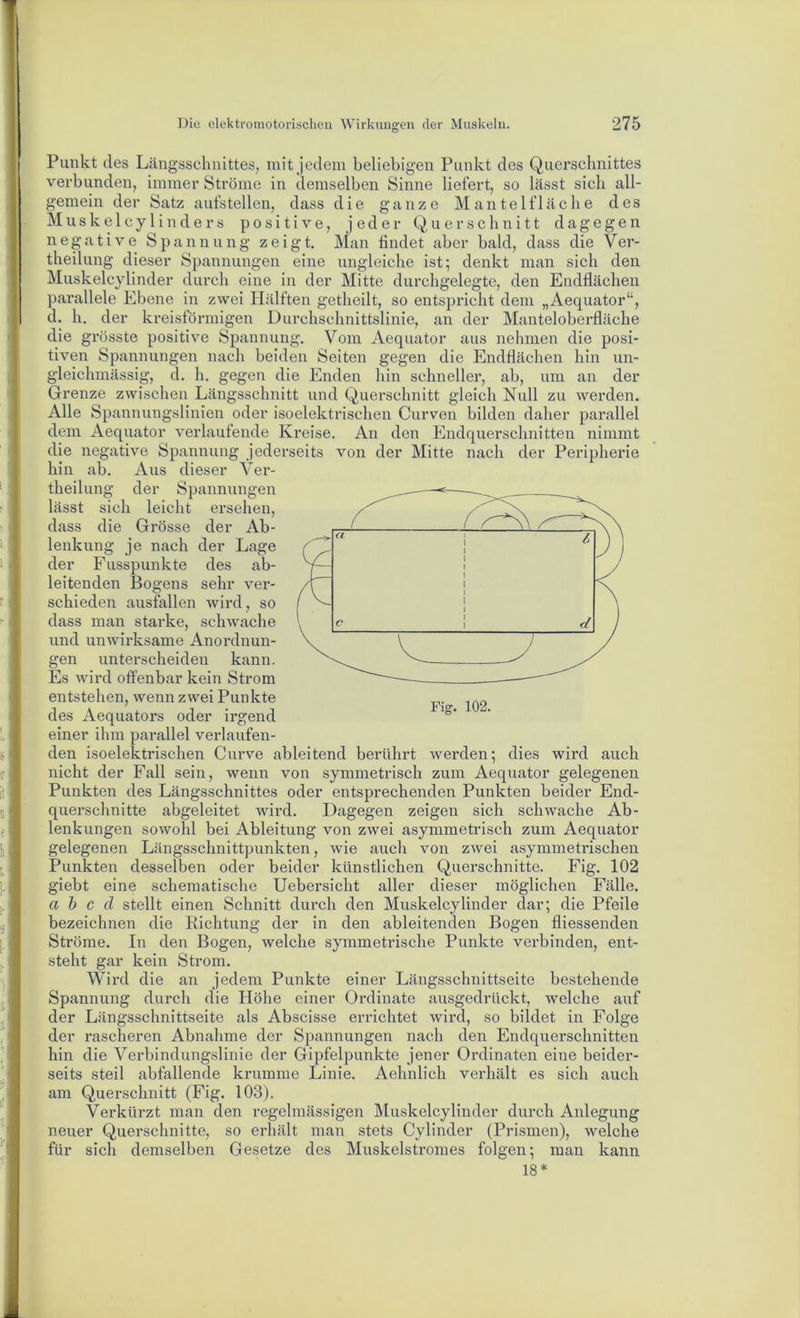 Punkt des Längsschnittes^ mit jedem beliebigen Punkt des Querschnittes verbunden, immer Ströme in demselben Sinne liefert, so lässt sich all- gemein der Satz aufstellen, dass die ganze Mantelfläche des M u s k e 1 c y 1 i n d e r s positive, jeder Querschnitt d a g e g e n negative Spannung zeigt. Man findet aber bald, dass die Ver- theilung dieser Spannungen eine ungleiche ist; denkt man sich den Muskelcylinder durch eine in der Mitte durchgelegte, den Endflächen parallele Ebene in zwei Hälften getheilt, so entspricht dem „Aequator“, d. h. der kreisförmigen Durchschnittslinie, an der Manteloberfläche die grösste positive Spannung. Vom Aequator aus nehmen die posi- tiven Spannungen nach beiden Seiten gegen die Endflächen hin un- gieichmässig, d. h. gegen die Enden hin schneller, ab, um an der Grenze zwischen Längsschnitt und Querschnitt gleich Null zu werden. Alle Spannungslinien oder isoelektrischen Curven bilden daher parallel dem Aequator verlaufende Kreise. An den Endquerschnitten nimmt die negative Spannung jederseits von der Mitte nach der Peripherie hin ab. Aus dieser Ver- theilung der Spannungen lässt sich leicht ersehen, dass die Grösse der Ab- lenkung je nach der Lage der Fusspunkte des ab- leitenden Bogens sehr ver- schieden ausfallen wird, so dass man starke, schwache und unwirksame Anordnun- gen unterscheiden kann. Es wird offenbar kein Strom entstehen, wenn zwei Punkte des Aequators oder irgend einer ihm parallel verlaufen- den isoelektrischen Curve ableitend berührt werden; dies wird auch nicht der Fall sein, wenn von symmetrisch zum Aequator gelegenen Punkten des Längsschnittes oder entsprechenden Punkten beider End- querschnitte abgeleitet wird. Dagegen zeigen sich schwache Ab- lenkungen sowohl bei Ableitung von zwei asymmetrisch zum Aequator gelegenen Längsschnittpunkten, wie auch von zwei asymmetrischen Punkten desselben oder beider künstlichen Querschnitte. Fig. 102 giebt eine schematische Uebersicht aller dieser möglichen Fälle. a d c cl stellt einen Schnitt durch den Muskelcylinder dar; die Pfeile bezeichnen die Richtung der in den ableitenden Bogen fliessenden Ströme. In den Bogen, welche symmetrische Punkte verbinden, ent- steht gar kein Strom. Wird die an jedem Punkte einer Längsschnittseite bestehende Spannung durch die Höhe einer Ordinate ausgedrückt, welche auf der Längsschnittseite als Abscisse errichtet wird, so bildet in Folge der rascheren Abnahme der Spannungen nach den Endquerschnitten hin die Verbindungslinie der Gipfelpunkte jener Ordinaten eine beider- seits steil abfallende krumme Linie. Aehnlich verhält es sich auch am Querschnitt (Fig. 103). Verkürzt man den regelmässigen Muskelcylinder durch Anlegung neuer Querschnitte, so erhält man stets Cylinder (Prismen), welche für sich demselben Gesetze des Muskelstromes folgen; man kann 18*