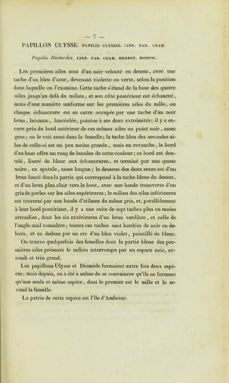 PAPILLON UI.YSSE. papilio ulysses. unn. fab. cram. Papilio Diomedes. linn. fab. cram. iieubst. doixow. Les premières ailes sont d’un noir velouté en dessus, avec une tache d’un bleu d’azur, devenant violette ou verte, selon la position dans laquelle on l’examine. Cette tache s’étend de la base des quatre ailes jusqu’au delà du milieu, et son côté postérieur est échancré, mais d’une manière uniforme sur les premières ailes du mâle, ou chaque échancrure est en outre occupée par une tache d’un noir brun, luisante, lancéolée, pointue à ses deux extrémités; il y a en- core près du bord antérieur de ces mêmes ailes un point noir, assez gros ; on le voit aussi dans la femelle; la tache bleu des secondes ai- les de celle-ci est un peu moins grande , mais en revanche, le bord d’en haut offre un rang de lunules de cette couleur ; ce bord est den- telé, liseré de blanc aux échancrures, et terminé par une queue noire , en spatule, assez longue ; le dessous des deux sexes est d’un brun foncé dans la partie qui correspond à la tache bleue du dessus, et d’un brun plus clair vers le bout, avec une bande transverse d’un gris de perles sur les ailes supérieures ; le milieu des ailes inférieures est traversé par une bande d’atômes du même gris, et, parallèlement à leur bord postérieur, il y a une suite de sept taches plus ou moins arrondies, dont les six extérieures d’un brun verdâtre, et celle de l’angle anal roussâtre ; toutes ces taches sont bordées de noir en de- hors , et en dedans par un arc d’un bleu violet, pointillé de blanc. On trouve quelquefois des femelles dont la partie bleue des pre- mières ailes présente le milieu interrompu par un espace noir, ar- rondi et très grand. Les papillons Ulysse et Diomède formaient autre fois deux espè- ces; mais depuis, on a été à même de se convaincre qu’ils ne forment qu’une seule et même espèce, dont le premier est le mâle et le se- cond la femelle. La patrie de cette espèce est l’île d’Amboine.