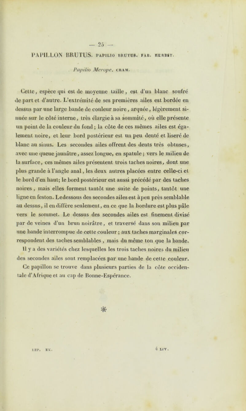 l’Al'lLLON HHUTUS. vapilio iirutus. ïab. herbst. Papilio Merope. cuam. Celte, espèce qui esL de moyenne taille, est d’un blanc soufré de part et d’autre. L’extrémité de ses premières ailes est bordée en dessus par une large bande de couleur noire, arquée, légèrement si- nuée sur le côté interne, très élargie à sa sommité, où elle présente un point de la couleur du fond ; la côte de ces mêmes ailes est éga- lement noire, et leur bord postérieur est un peu denté et liseré de blanc au sinus. Les secondes ailes offrent des dents très obtuses, avec une queue jaunâtre, assez longue, en spatule ; vers le milieu de la surface, ces mêmes ailes présentent trois taches noires, dont une plus grande à l’angle anal, les deux autres placées entre celle-ci et le bord d’en haut; le bord postérieur est aussi précédé par des taches noires , mais elles forment tantôt une suite de points, tantôt une ligne en feston. Ledessous des secondes ailes est àpeu près semblable au dessus, il en diffère seulement, en ce que la bordure est plus pâle vers le sommet. Le dessus des secondes ailes est finement divisé par de veines d’un brun noirâtre, et traversé dans son milieu par une bande interrompue de cette couleur ; aux taches marginales cor- respondent des taches semblables , mais du même ton que la bande. 11 y a des variétés chez lesquelles les trois taches noires du milieu des secondes ailes sont remplacées par une bande de cette couleur. Ce papillon se trouve dans plusieurs parties de la côte occiden- tale d’Afrique et au cap de Bonne-Espérance. TEP. EX. 4 LIV.