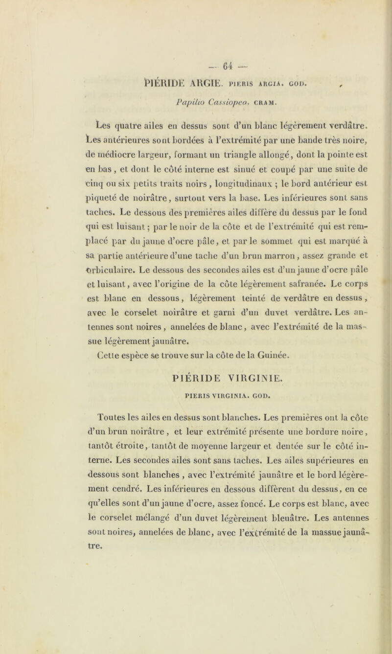 PIÉRIDK ARGIE. PIERIS ARGIA. GOI). ^ Papilio Cassiopeo. cram. Les quatre ailes en dessus sont d’un blanc légèrement verdâtre. Les antérieures sont bordées à l’extrémité par une bande très noire, de médiocre largeur, l'ormant un triangle allongé, dont la pointe est en bas, et dont le côté interne est sinué et coupé par une suite de cinq ou six petits traits noirs , longitudinaux ; le bord antérieur est piqueté de noirâtre, surtout vers la base. Les inférieures sont sans taches. Le dessous des premières ailes diffère du dessus par le fond qui est luisant ; par le noir de la côte et de l’extrémité qui est rem- placé par du jaune d’ocre pâle, et par le sommet qui est marqué à sa partie antérieure d’une tache d’un brun marron, assez grande et Orbiculaire. Le dessous des secondes ailes est d’un jaune d’ocrc j)âle et luisant, avec l’origine de la côte légèrement safranée. Le corps est blanc en dessous, légèrement teinté de verdâtre en dessus , avec le corselet noirâtre et garni d’un duvet verdâtre. Les an- tennes sont noires , annelées de blanc, avec l’extrémité de la mas- sue légèrement jaunâtre. Cette espèce se trouve sur la côte de la Guinée. PIÉRIDE VIRGINIE. PIERIS VIRGINIA. GOD. Toutes les ailes en dessus sont blanches. Les premières ont la côte d’un brun noirâtre , et leur extrémité présente une bordure noire, tantôt étroite, tantôt de moyenne largeur et dentée sur le côté in- terne. Les secondes ailes sont sans taches. Les ailes supérieures en dessous sont blanches , avec l’extrémité jaunâtre et le bord légère- ment cendré. Les inférieures en dessous diffèrent du dessus, en ce qu’elles sont d’un jaune d’ocre, assez foncé. Le corps est blanc, avec le corselet mélangé d’un duvet légèrement bleuâtre. Les antennes sont noires, annelées de blanc, avec l’extrémité de la massue jaunâ- tre.