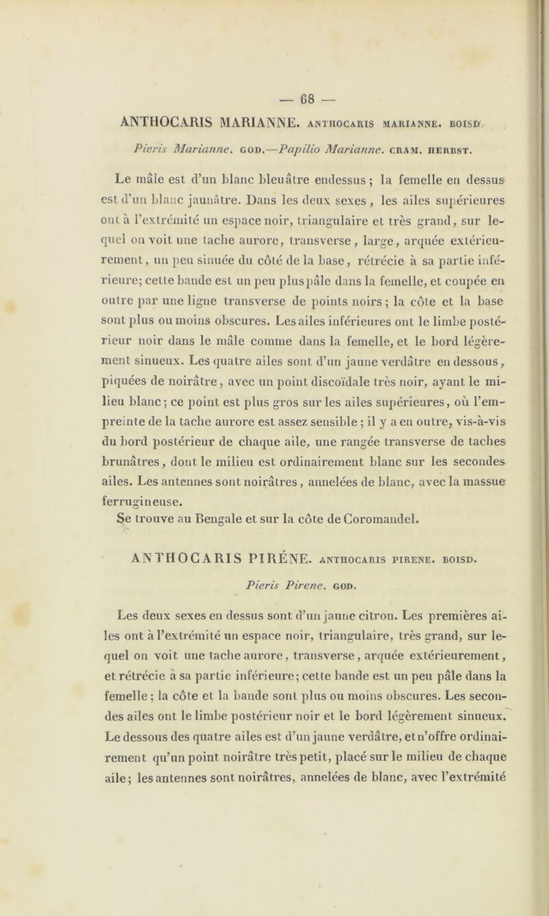ANTHOCARIS MARIANNE, antiiocaris makianne. boisD- Pieris Marianne, go».—Papilio Marianne, cram. herest. Le mâle est d’uii blanc bleuâtre enclessus ; la femelle en dessus est d'un blanc jaunâtre. Dans les deux sexes , les ailes supérieures ont à rextremilé un espace noir, triangulaire et très grand, sur le- quel on voit une tache aurore, transverse, large, arquée extérieu- rement, nn peu sinuée du côté de la base, rétrécie à sa partie infé- rieure; celte bande est un peu plus pâle dans la femelle, et coupée en outre par une ligne transverse de points noirs ; la côte et la base sont plus ou moins obscures. Les ailes inférieures ont le limbe posté- rieur noir dans le mâle comme dans la femelle, et le bord légère- ment sinueux. Les quatre ailes sont d’un jaune verdâtre en dessous, piquées de noirâtre, avec un point discoïdale très noir, ayant le mi- lieu blanc ; ce point est plus gros sur les ailes supérieures, où l’em- preinte de la tache aurore est assez sensible ; il y a en outre, vis-à-vis du bord postérieur de chaque aile, une rangée transverse de taches brunâtres, dont le milieu est ordinairement blanc sur les secondes ailes. Les antennes sont noirâtres, annelées de blanc, avec la massue ferrugineuse. Se trouve au Bengale et sur la côte de Coromandel. ANTHOCARIS PIRÉNE. anthocaris pirene. boisd. Pieris Pirene. go». Les deux sexes en dessus sont d’un jaune citron. Les premières ai- les ont à l’extrémité un espace noir, triangulaire, très grand, sur le- quel on voit une tache aurore, transverse, arquée extérieurement, et rétrécie à sa partie inférieure; cette bande est un peu pâle dans la femelle ; la côte et la bande sont plus ou moins obscures. Les secon- des ailes ont le limbe postérieur noir et le bord légèrement sinueux. Le dessous des quatre ailes est d’un jaune verdâtre, et n’offre ordinai- rement qu’un point noirâtre très petit, placé sur le milieu de chaque aile; les antennes sont noirâtres, annelées de blanc, avec l’extrémité