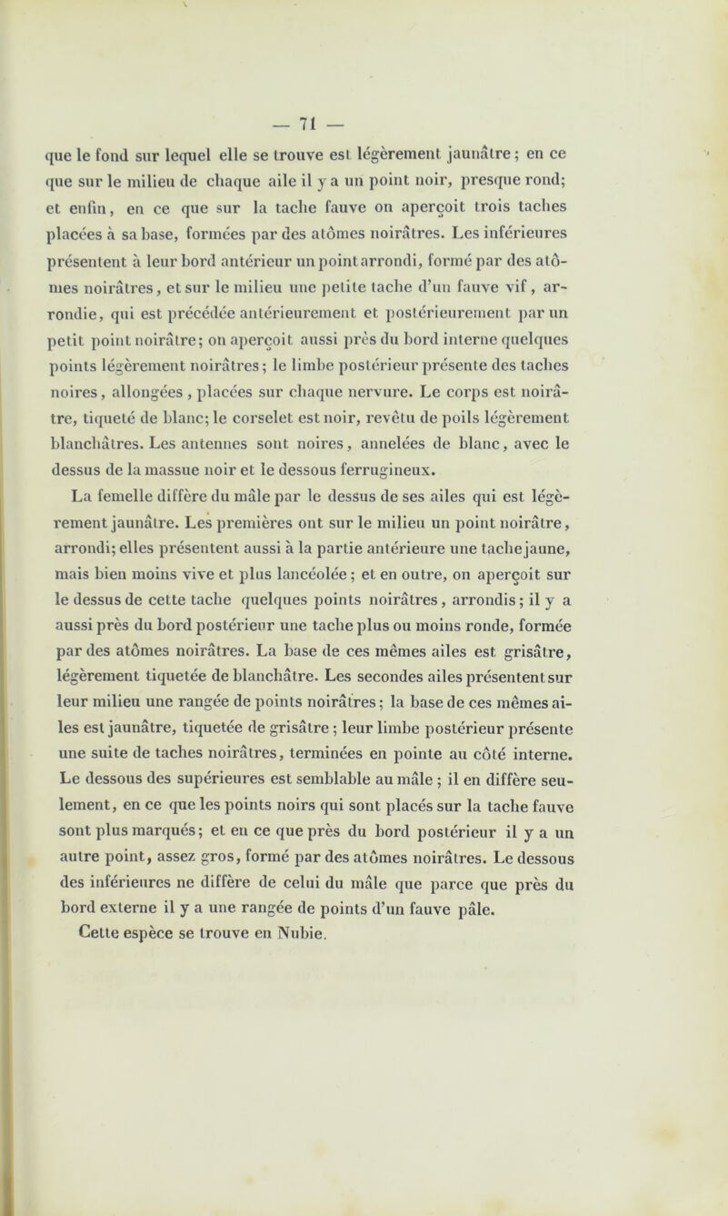 que le fond sur lequel elle se trouve est légèrement jaunâtre ; en ce que sur le milieu de chaque aile il y a un point noir, presque rond; et enfin, en ce que sur la tache fauve on aperçoit trois taches placées à sa hase, formées par des atomes noirâtres. Les inférieures présentent à leur bord antérieur un point arrondi, formé par des ato- mes noirâtres, et sur le milieu une petite lâche d’un fauve vif, ar- rondie, qui est précédée antérieurement et postérieurement par un petit point noirâtre; on aperçoit aussi près du bord interne quelques points légèrement noirâtres; le limbe postérieur présente des taches noires, allongées , placées sur chaque nervure. Le corps est noirâ- tre, tiqueté de blanc; le corselet est noir, revêtu de poils légèrement blanchâtres. Les antennes sont noires, annelées de blanc, avec le dessus de la massue noir et le dessous ferrugineux. La femelle diffère du mâle par le dessus de ses ailes qui est légè- rement jaunâtre. Les premières ont sur le milieu un point noirâtre, arrondi; elles présentent aussi à la partie antérieure une tache jaune, mais bien moins vive et plus lancéolée ; et en outre, on aperçoit sur le dessus de cette tache quelques points noirâtres, arrondis ; il y a aussi près du bord postérieur une tache plus ou moins ronde, formée par des atomes noirâtres. La base de ces mêmes ailes est grisâtre, légèrement tique tée de blanchâtre. Les secondes ailes présentent sur leur milieu une rangée de points noirâtres ; la base de ces mêmes ai- les est jaunâtre, tiquetée de grisâtre ; leur limbe postérieur présente une suite de taches noirâtres, terminées en pointe au côté interne. Le dessous des supérieures est semblable au mâle ; il en diffère seu- lement, en ce que les points noirs qui sont placés sur la tache fauve sont plus marqués ; et eu ce que près du bord postérieur il y a un autre point, assez gros, formé par des atomes noirâtres. Le dessous des inférieures ne diffère de celui du mâle que parce que près du bord externe il y a une rangée de points d’un fauve pâle. Cette espèce se trouve en Nubie.