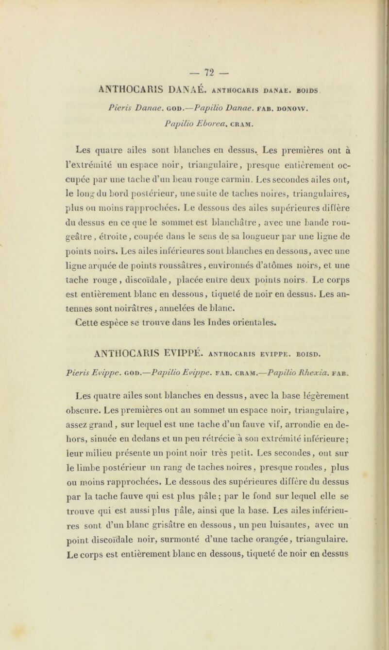 ANTHOCAHIS DANAÉ. anthocaris danae. bojds Pieris Danae, god.—Papilio Danae. eab. donow. Papilio Eborea, cram. Les quaire ailes sont blanches en dessus. Les jiremières ont à l’exlrémilé un espace noir, triangulaire, presque eniièreineiit oc- cupée par une lâche d’uu beau rouge carmin. Les secondes ailes ont, le long du bord postérieur, unesuile de taches noires, triangulaires, plus ou moins rapprochées. Le dessous des ailes supérieures diflère du dessus en ce que le sommet est blanchâtre, avec une bande roii- geâlre, étroite, coupée dans le sens de sa longueur par une ligne de poiiils noirs. Les ailes inférieures sont blanches en dessous, avec une ligne arquée de points roiissâlres, environnés d’alômes noirs, et une tache rouge , discoïdale, placée entre deux points noirs. l.e corps est entièrement blanc en dessous, tiqueté de noir en dessus. Les an- tennes sont noirâtres, annelées de blanc. Cette espèce se trouve dans les Indes orientales. ANTHOCARIS EVIPPÉ. anthocaris evippe. boisd. Pieris Evippe. god.—Papilio Evippe. fab. cram.—Papilio Rhexia. far. Les quatre ailes sont blanches en dessus, avec la base légèrement obscure. Les premières ont au sommet un espace noir, triangulaire, assez grand, sur lequel est une tache d’un fauve vif, arrondie en de- hors, sinuée en dedans et un peu rétrécie à son extrémité inférieure; leur milieu présente un point noir très petit. Les secondes, ont sur le limbe postérieur un rang de taches noires, presque rondes, plus ou moins rapprochées. Le dessous des supérieures diffère du dessus par la tache fauve qui est plus pâle ; par le fond sur lequel elle se trouve qui est aussi plus pâle, ainsi que la hase. Les ailes inférieu- res sont d’un blanc grisâtre en dessous, un peu luisantes, avec un point discoïdale noir, surmonté d’une tache orangée, triangulaire. Le corps est entièrement blanc en dessous, tiqueté de noir en dessus