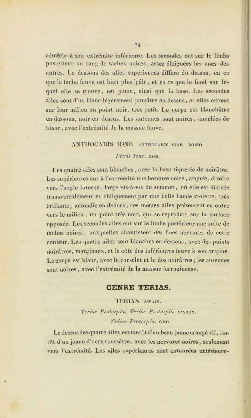 rétrécie à soa extrémité itilérieure. Les secondes ont sur le limbe poslérienr un rang de taches noires, assez éloignées les unes des autres. Le dessous des allés supérieures diffère du dessus, en ce que la tache fauve est bien plus ‘pâle, et en ce que le fond sur le- quel elle se trouve, est jaune, ainsi que la base. Les secondes ailes sont d’un blanc légèrement jaunâtre en dessus, et elles offrent sur leur milieu un point noir, très petit. Le corps est blanchâtre en dessous, noir en dessus. Les antennes sont noires, annelées de blanc, avec l’extrémité de la massue fauve. ANTHOCAUlS lONE. anthogaris ione. boisd. Pieris Ione. god. Les quatre ailes sont blanches, avec la base tiquetée de noirâtre. Les supérieures ont à l’extrémité une bordure noire, arquée, étroite vers l’angle interne, large vis-à-vis du sommet, où elle est divisée transversalement et obliquement par une belle bande violette, très brillante, arrondie en dehors; ces mêmes ailes présentent en outre vers le milieu , un point très noir, qui se reproduit sur la surface opposée. Les secondes ailes ont sur le limbe postérieur une suite de taches noires, auxquelles aboutissent des fines nervures de cette couleur. Les quatre ailes sont blanches en dessous, avec des points noirâtres, marginaux, et la côte des inférieures fauve à son origine. Le corps est blanc, avec le corselet et le dos noirâtres; les antennes sont noires, avec l’extrémité de la massue ferrugineuse. GENRE TERIAS. TERIÀS. swAiN- Terias Proterpia, Terias Proterpia. swaix. Colias Proterpia. god. Le dessus des quatre ailes est tantôt d’un beau jaune orangé vif, tan- tôt d’un jaune d’ocre roussâtre, avec les nervures noires, seulement vers l’extrémité. Les ajles supérieures sont entourées extérieure-