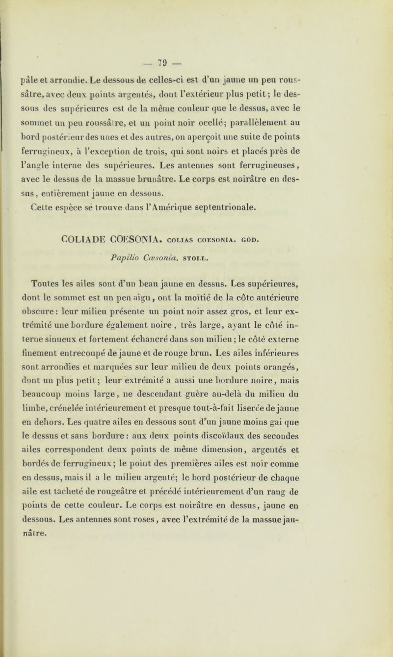 pâle et arrondie. Le dessous de celles-ci est d’un jaune un peu rous- sâtre,avec deux points argentés, dont l’exlérieur plus petit; le des- sous des supérieures est de la même couleur que le dessus, avec le sommet un peu roussâlre, et un point noir ocellé; parallèlement au bord postérieur des unes et des autres, on aperçoit une suite de points ferrugineux, à l’exception de trois, qui sont noirs et placés près de l’angle interne des supérieures. Les antennes sont ferrugineuses, avee le dessus de la massue brunâtre. Le corps est noirâtre en des- sus, entièrement jaune en dessous. Cette espèce sé trouve dans l’Amérique septentrionale. COLIADE COESONIA. colias coesonia. god. Papilio Cæsonia, STOix. Toutes les ailes sont d’un beau jaune en dessus. Les supérieures, dont le sommet est un peu aigu, ont la moitié de la côte antérieure obscure : leur milieu présente un point noir assez gros, et leur ex- trémité une bordure également noire , très large, ayant le côté in- terne sinueux et fortement échancré dans son milieu ; le côté externe finement entrecoupé de jaune et de rouge brun. Les ailes inférieures sont arrondies et marquées sur leur milieu de deux points orangés, dont un plus petit; leur extrémité a aussi une liordure noire, mais beaucoup moins large, ne descendant guère au-delà du milieu du limbe, crénelée intérieurement et presque tout-à-fait liserce de jaune en dehors. Les quatre ailes en dessous sont d’un jaune moins gai que le dessus et sans bordure : aux deux points discoïdaux des secondes ailes correspondent deux points de même dimension, argentés et bordés de ferrugineux; le point des premières ailes est noir comme en dessus, mais il a le milieu argenté; le bord postérieur de chaque aile est tacheté de rougeâtre et précédé intérieurement d’un rang de points de cette couleur. Le corps est noirâtre en dessus, jaune en dessous. Les antennes sont roses, avec l’extrémité de la massue jau- nâtre.