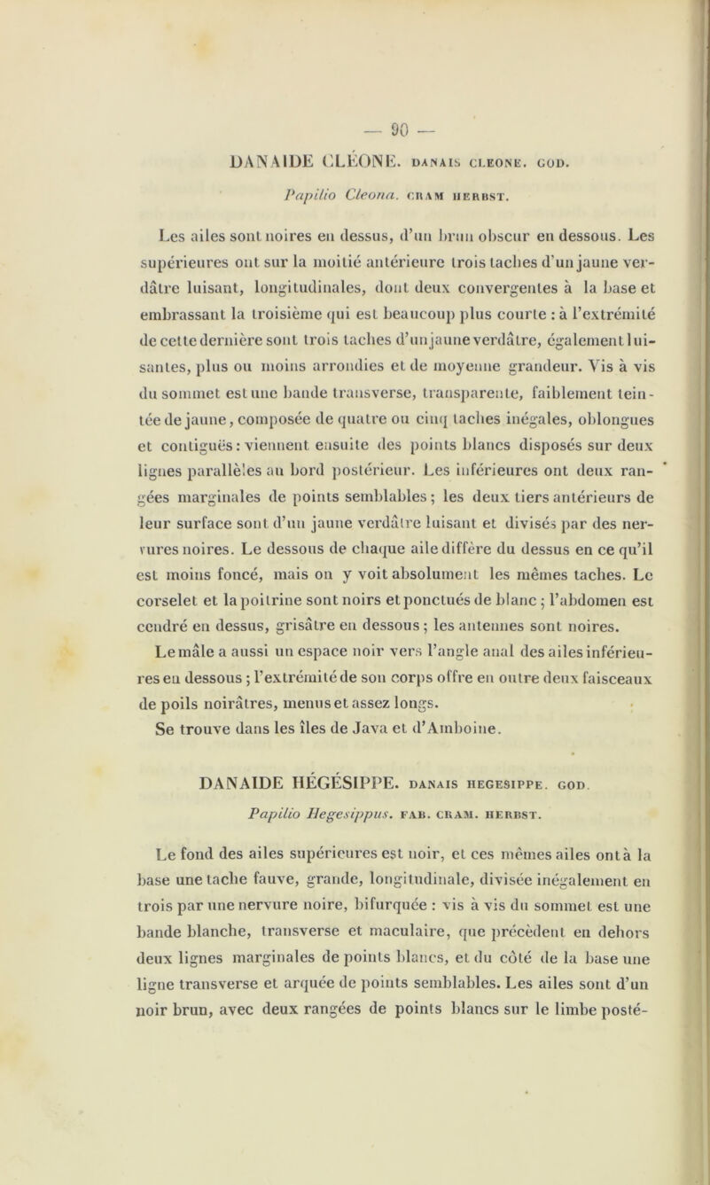 DANAIDE (iLEONE. danais cleone. god. PapiÜo Cleona. ckam iierbst. Les ailes soiU noires en dessus, d’un brun obscur en dessous. Les supérieures ont sur la moitié antérieure trois taches d’un jaune ver- dâtre luisant, longitudinales, dont deux convergentes à la base et embrassant la troisième qui est beaucoup plus courte : à l’extrémité de cette dernière sont trois taches d’unjauneverdâtre, égalementlui- santes, pins ou moins arrondies et de moyenne grandeur. Vis à vis du sommet estime bande transverse, trans})arente, faiblement tein- tée de jaune, composée de quatre ou cinq taches inégales, oblongues et contiguës : viennent ensuite des points blancs disposés sur deux lignes parallèles an bord postérieur. Les inférieures ont deux ran- gées marginales de points semblables ; les deux tiers antérieurs de leur surface sont d’un jaune verdâtre luisant et divisés par des ner- vures noires. Le dessous de chaque aile diffère du dessus en ce qu’il est moins foncé, mais on y voit absolument les mêmes taches. Le corselet et la poitrine sont noirs et ponctués de blanc ; l’abdomen est cendré en dessus, grisâtre en dessous ; les antennes sont noires. Le mâle a aussi un espace noir ver.s l’angle anal des ailes inférieu- res eu dessous ; l’extrémité de son corps offre en outre deux faisceaux de poils noirâtres, menus et assez longs. Se trouve dans les îles de Java et d’Amboine. DANAIDE HÉGÉSIPPE. danais hegesippe. god. Papilio Hegesippus. fab. cuam. hebbst. Le fond des ailes supérieures est noir, et ces mêmes ailes ont à la base une tache fauve, grande, longitudinale, divisée inégalement en trois par une nervure noire, bifurquée : vis à vis du sommet est une bande blanche, transverse et maculaire, que précèdent en dehors deux lignes marginales de points Idancs, et du côté de la base une ligne transverse et arquée de points semblables. Les ailes sont d’un noir brun, avec deux rangées de points blancs sur le limbe posté-