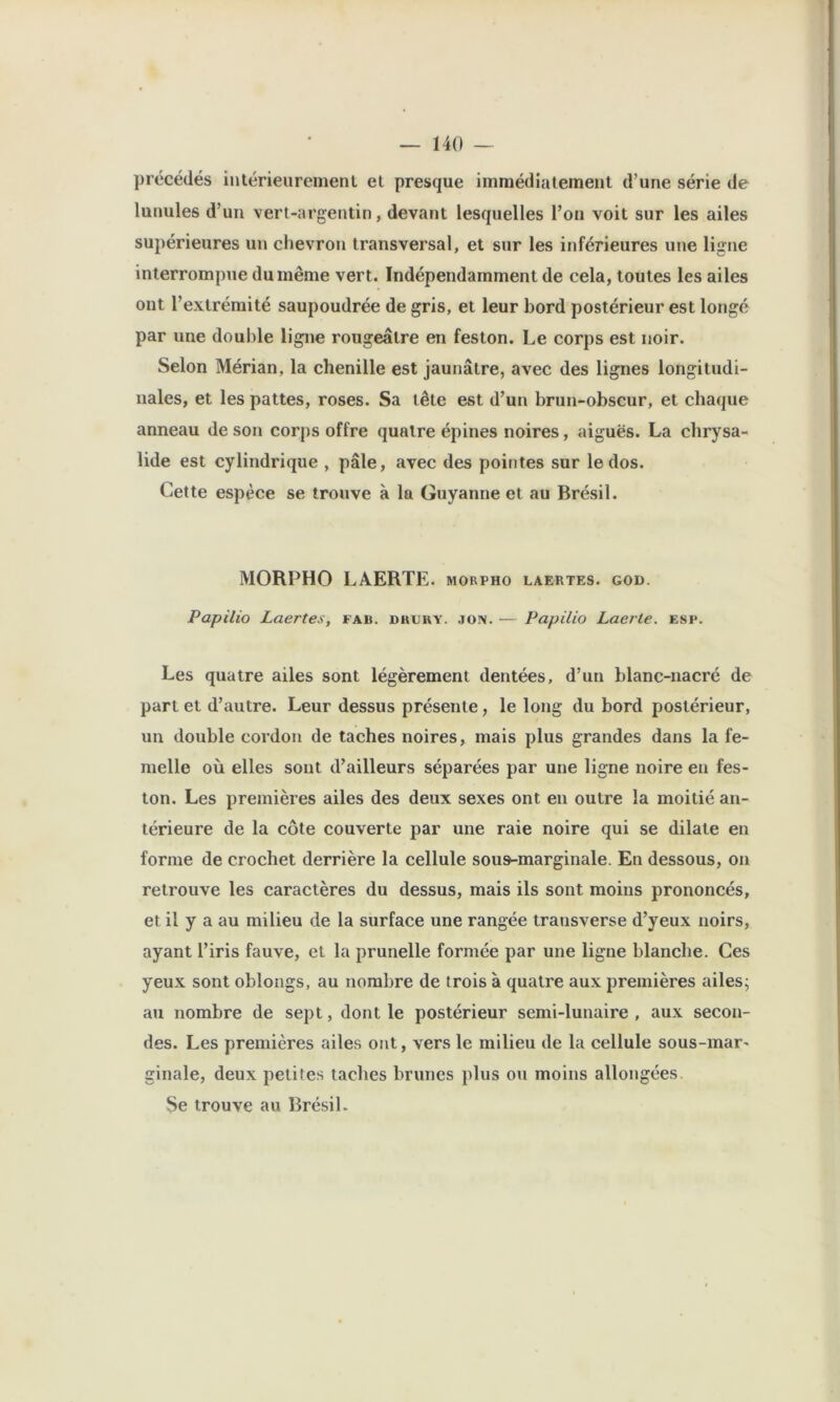 précédés iiitérieureinenl et presque immédiatement d’une série de lunules d’un vert-argentin, devant lesquelles l’on voit sur les ailes supérieures un chevron transversal, et sur les inférieures une ligne interrompue du même vert. Indépendamment de cela, toutes les ailes ont l’extrémité saupoudrée de gris, et leur bord postérieur est longé par une double ligne rougeâtre en feston. Le corps est noir. Selon Mérian, la chenille est jaunâtre, avec des lignes longitudi- nales, et les pattes, roses. Sa tête est d’un brun-obscur, et chaque anneau de son corps offre quatre épines noires, aiguës. La chrysa- lide est cylindrique , pâle, avec des pointes sur le dos. Cette espèce se trouve à la Guyanne et au Brésil. MORPHO LAERTE. morpho laertes. god. Papilio Laertes, fab. druby. jon. — Papilio Laerte. esp. Les quatre ailes sont légèrement dentées, d’un blanc-nacré de part et d’autre. Leur dessus présente, le long du bord postérieur, un double cordon de taches noires, mais plus grandes dans la fe- melle où elles sont d’ailleurs séparées par une ligne noire en fes- ton. Les premières ailes des deux sexes ont en outre la moitié an- térieure de la côte couverte par une raie noire qui se dilate en forme de crochet derrière la cellule sous-marginale. En dessous, on retrouve les caractères du dessus, mais ils sont moins prononcés, et il y a au milieu de la surface une rangée transverse d’yeux noirs, ayant l’iris fauve, et la prunelle formée par une ligne blanche. Ces yeux sont oblongs, au nombre de trois à quatre aux premières ailes; au nombre de sept, dont le postérieur semi-lunaire , aux secon- des. Les premières ailes ont, vers le milieu de la cellule sous-mar' ginale, deux petites taches brunes plus ou moins allongées Se trouve au Brésil.