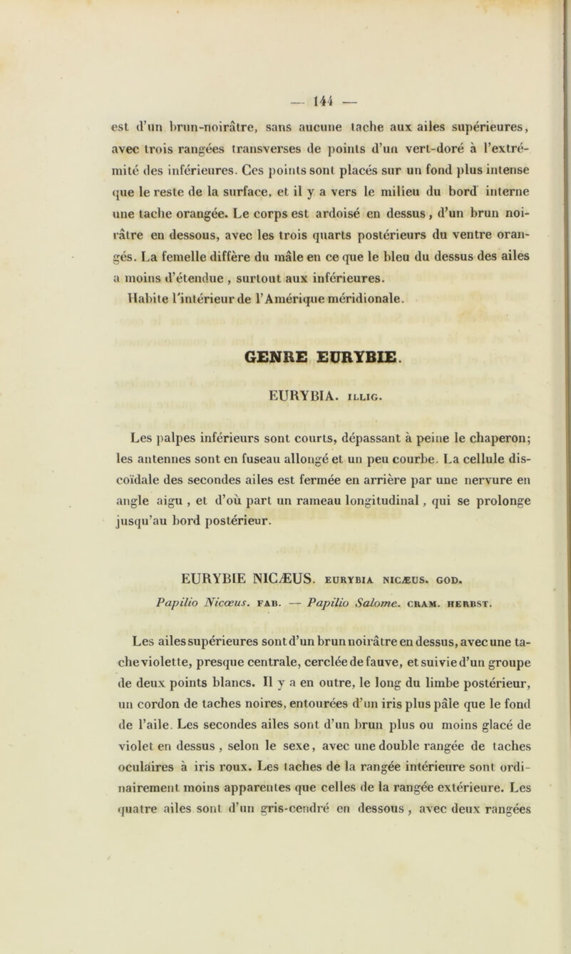 est d’un brun-noirâtre, sans aucune tache aux ailes supérieures, avec trois rangées transverses de points d’un vert-doré à l’extré- mité des inférieures. Ces points sont placés sur un fond plus intense (jue le reste de la surface, et il y a vers le milieu du bord interne une tache orangée. Le corps est ardoisé en dessus, d’un brun noi- râtre en dessous, avec les trois quarts postérieurs du ventre oran- gés. La femelle diffère du mâle en ce que le bleu du dessus des ailes a moins d’étendue , surtout aux inférieures. Habite l'intérieur de l’Amérique méridionale. GENRE EURTBIE. EURYBIA. iLLiG. Les palpes inférieurs sont courts, dépassant à peine le chaperon; les antennes sont en fuseau allongé et un peu courbe. La cellule dis- coïdale des secondes ailes est fermée en arrière par une nervure en angle aigu , et d’où part un rameau longitudinal, qui se prolonge jusqu’au bord postérieur. EURYBIE NICÆUS. eurybia nicæus. god. Papilio Nicæus. fam. — Papilio Salome. cram. herbst. Les ailes supérieures sont d’un brun noirâtre en dessus, avec une ta- che violette, presque centrale, cerclée de fauve, et suivie d’un groupe de deux points blancs. Il y a en outre, le long du limbe postérieur, un cordon de taches noires, entourées d’im iris plus pâle que le fond de l’aile. Les secondes ailes sont d’un brun plus ou moins glacé de violet en dessus , selon le sexe, avec une double rangée de taches oculaires à iris roux. Les lâches de la rangée intérieure sont ordi- nairement moins apparentes que celles de la rangée extérieure. Les quatre ailes sont d’nn gris-cendré en dessous, avec deux rangées