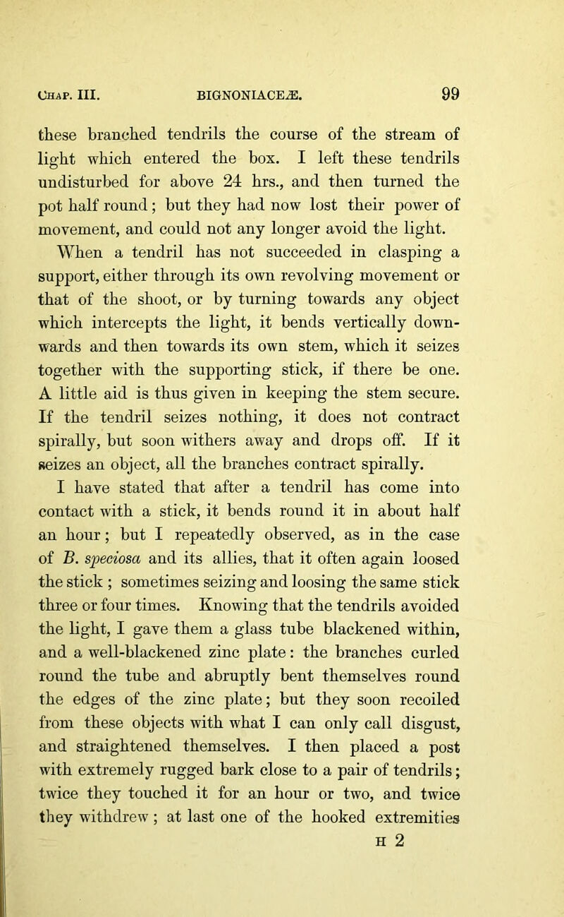 these branched tendrils the course of the stream of light which entered the box. I left these tendrils undisturbed for above 24 hrs., and then turned the pot half round; but they had now lost their power of movement, and could not any longer avoid the light. When a tendril has not succeeded in clasping a support, either through its own revolving movement or that of the shoot, or by turning towards any object which intercepts the light, it bends vertically down- wards and then towards its own stem, which it seizes together with the supporting stick, if there be one. A little aid is thus given in keeping the stem secure. If the tendril seizes nothing, it does not contract spirally, but soon withers away and drops off. If it seizes an object, all the branches contract spirally. I have stated that after a tendril has come into contact with a stick, it bends round it in about half an hour; but I repeatedly observed, as in the case of B. speciosa and its allies, that it often again loosed the stick ; sometimes seizing and loosing the same stick three or four times. Knowing that the tendrils avoided the light, I gave them a glass tube blackened within, and a well-blackened zinc plate: the branches curled round the tube and abruptly bent themselves round the edges of the zinc plate; but they soon recoiled from these objects with what I can only call disgust, and straightened themselves. I then placed a post with extremely rugged bark close to a pair of tendrils; twice they touched it for an hour or two, and twice they withdrew; at last one of the hooked extremities H 2
