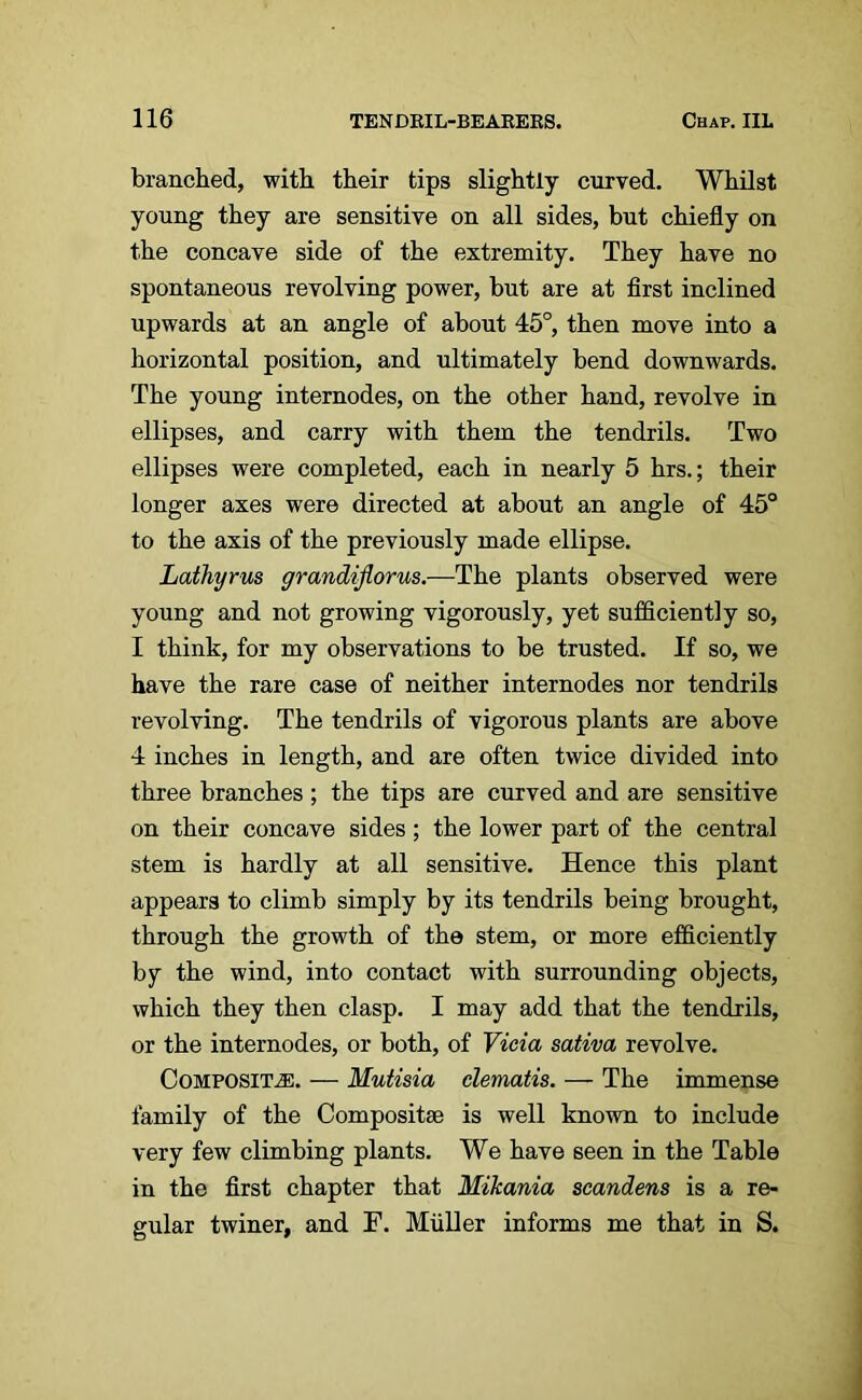 branched, with their tips slightly curved. Whilst young they are sensitive on all sides, but chiefly on the concave side of the extremity. They have no spontaneous revolving power, but are at first inclined upwards at an angle of about 45°, then move into a horizontal position, and ultimately bend downwards. The young internodes, on the other hand, revolve in ellipses, and carry with them the tendrils. Two ellipses were completed, each in nearly 5 hrs.; their longer axes were directed at about an angle of 45° to the axis of the previously made ellipse. Lathyrus grandiflorus.—The plants observed were young and not growing vigorously, yet sufficiently so, I think, for my observations to be trusted. If so, we have the rare case of neither internodes nor tendrils revolving. The tendrils of vigorous plants are above 4 inches in length, and are often twice divided into three branches ; the tips are curved and are sensitive on their concave sides; the lower part of the central stem is hardly at all sensitive. Hence this plant appears to climb simply by its tendrils being brought, through the growth of the stem, or more efficiently by the wind, into contact with surrounding objects, which they then clasp. I may add that the tendrils, or the internodes, or both, of Vicia sativa revolve. Composite. — Mutisia clematis. — The immense family of the Composite is well known to include very few climbing plants. We have seen in the Table in the first chapter that Mikania scandens is a re- gular twiner, and F. Muller informs me that in S.