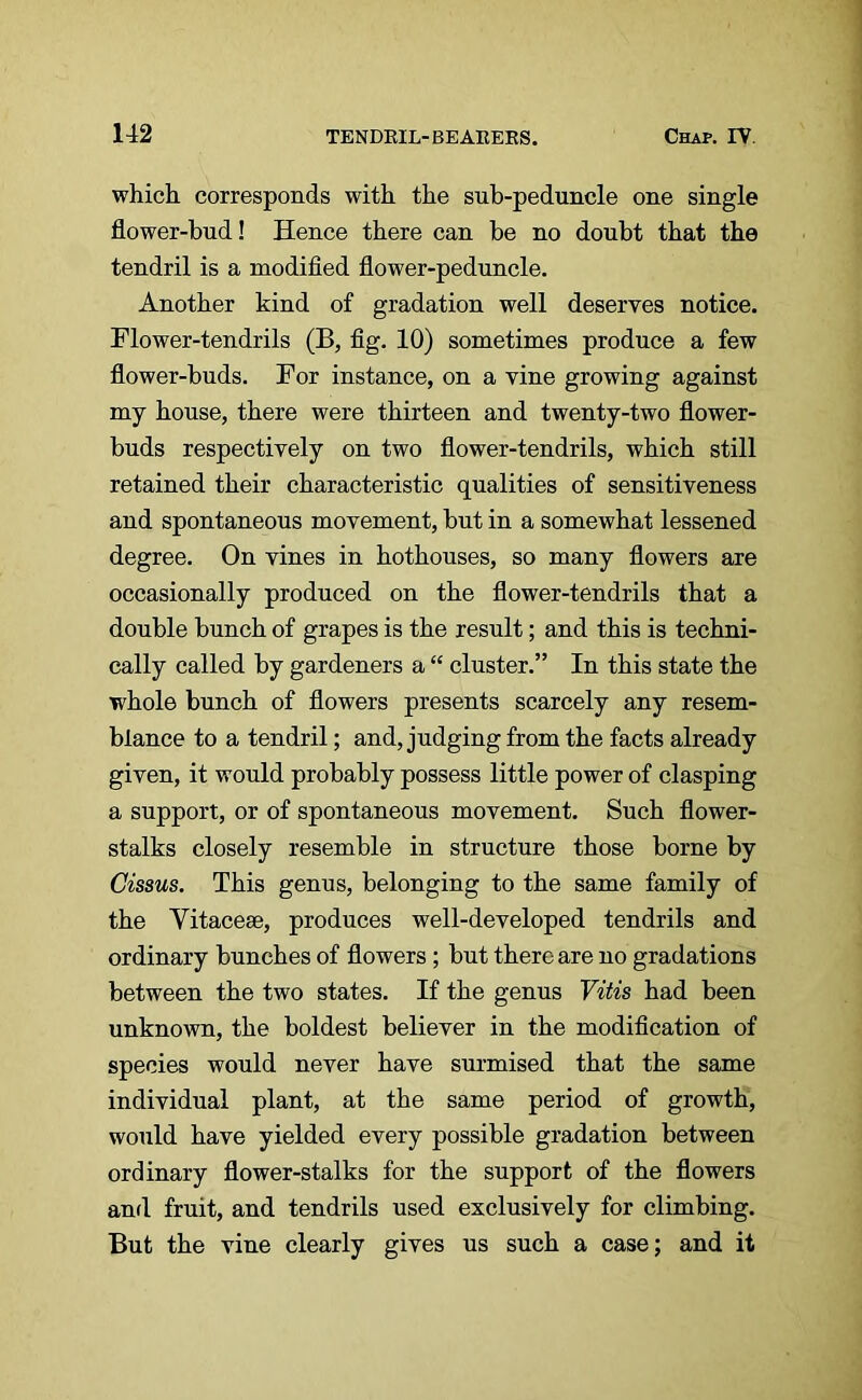 which corresponds with the sub-peduncle one single flower-bud! Hence there can be no doubt that the tendril is a modified flower-peduncle. Another kind of gradation well deserves notice. Flower-tendrils (B, fig. 10) sometimes produce a few flower-buds. For instance, on a vine growing against my house, there were thirteen and twenty-two flower- buds respectively on two flower-tendrils, which still retained their characteristic qualities of sensitiveness and spontaneous movement, but in a somewhat lessened degree. On vines in hothouses, so many flowers are occasionally produced on the flower-tendrils that a double bunch of grapes is the result; and this is techni- cally called by gardeners a “ cluster.” In this state the whole bunch of flowers presents scarcely any resem- blance to a tendril; and, judging from the facts already given, it would probably possess little power of clasping a support, or of spontaneous movement. Such flower- stalks closely resemble in structure those borne by Cissus. This genus, belonging to the same family of the Vitacese, produces well-developed tendrils and ordinary bunches of flowers ; but there are no gradations between the two states. If the genus Vitis had been unknown, the boldest believer in the modification of species would never have surmised that the same individual plant, at the same period of growth, would have yielded every possible gradation between ordinary flower-stalks for the support of the flowers and fruit, and tendrils used exclusively for climbing. But the vine clearly gives us such a case; and it