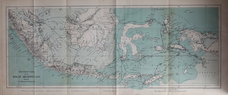 ''I;, fMin AV/l-n*'1 vV'„ i iVi.l'l’' K^unuuS MinnV1y LtinlanlurS ICMrjdW Smip-wi^ f, iUvi:)hn ■*■ >{j .(rtlliflj I’cnrl Fish• SOUTHERN PART of 111.- MALAY ARCHiPE] .AGO skewing M WALLACE'S ROUTE i. ■La... M‘ K'lll'i. London DUii'Uullaii