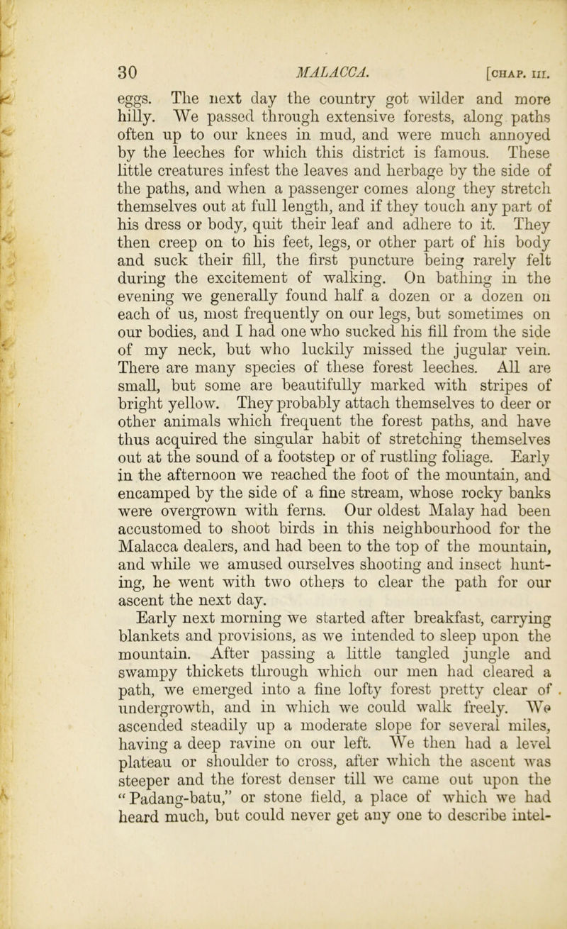 eggs. Tlie next day the country got wilder and more hilly. We passed through extensive forests, along paths often up to our knees in mud, and were much annoyed by the leeches for which this district is famous. These little creatures infest the leaves and herbage by the side of the paths, and when a passenger comes along they stretch themselves out at full length, and if they touch any part of his dress or body, quit their leaf and adhere to it. They then creep on to his feet, legs, or other part of his body and suck their fill, the first puncture being rarely felt during the excitement of walking. On bathing in the evening we generally found half a dozen or a dozen on each of us, most frequently on our legs, but sometimes on our bodies, and I had one who sucked his fill from the side of my neck, but who luckily missed the jugular vein. There are many species of these forest leeches. All are small, but some are beautifully marked with stripes of bright yellow. They probably attach themselves to deer or other animals which frequent the forest paths, and have thus acquired the singular habit of stretching themselves out at the sound of a footstep or of rustling foliage. Early in the afternoon we reached the foot of the mountain, and encamped by the side of a fine stream, whose rocky banks were overgrown with ferns. Our oldest Malay had been accustomed to shoot birds in this neighbourhood for the Malacca dealers, and had been to the top of the mountain, and while we amused ourselves shooting and insect hunt- ing, he went with two others to clear the path for our ascent the next day. Early next morning we started after breakfast, carrying blankets and provisions, as we intended to sleep upon the mountain. After passing a little tangled jungle and swampy thickets through which our men had cleared a path, we emerged into a fine lofty forest pretty clear of . undergrowth, and in which we could walk freely. We ascended steadily up a moderate slope for several miles, having a deep ravine on our left. We then had a level plateau or shoulder to cross, after which the ascent was steeper and the forest denser till we came out upon the “ Padang-batu,” or stone field, a place of which we had heard much, but could never get any one to describe intel-
