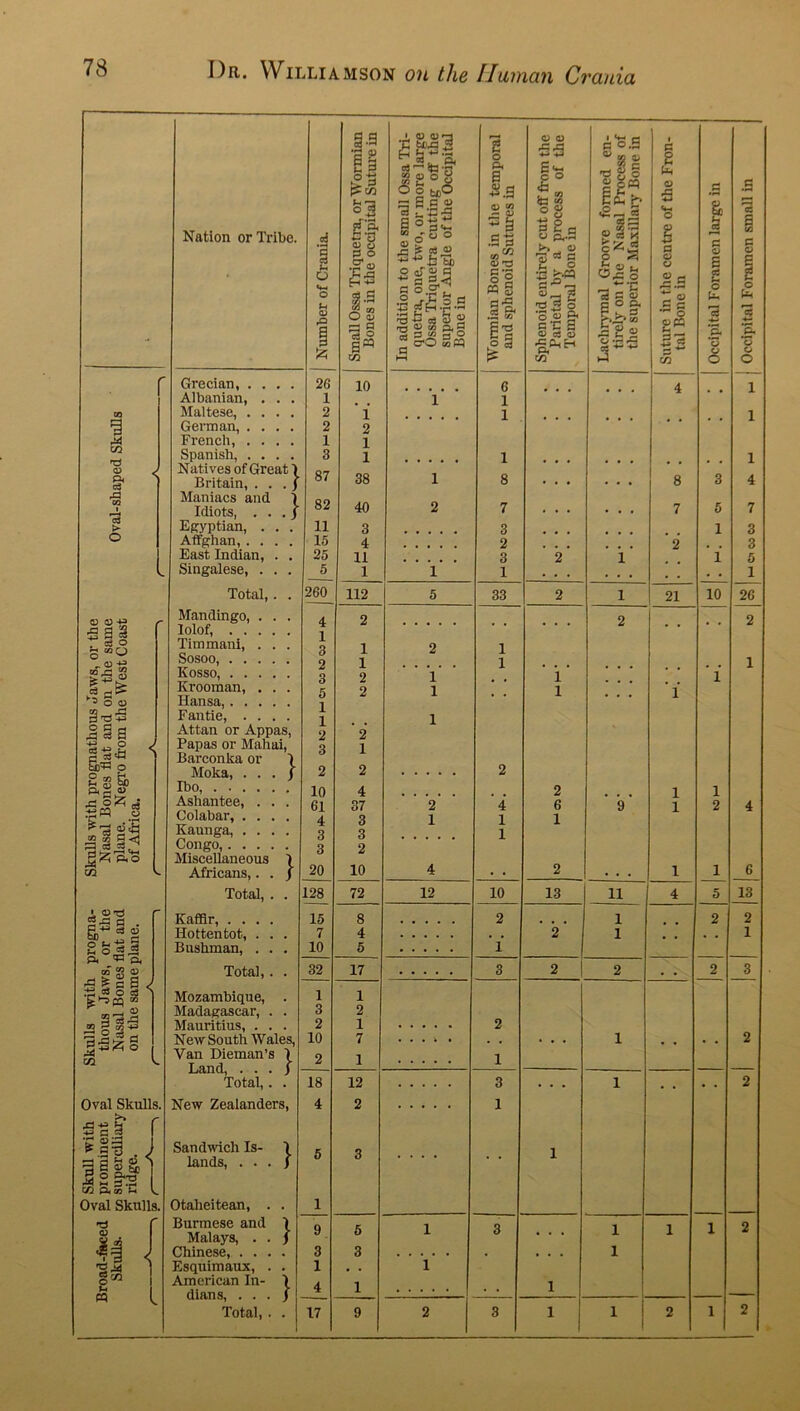 ^4 CO T* <D ra o3 O ?I8 S D 40 W rS £ ^ © © S ^ 5 £§s ■+J o g rf*p fcJD^ O l|| | «a| » s a -3 P5 =3_5Zl Juft'S m A £a> »,T3 r) ?« c3 o3 2 0,5,2 p. ^ fh a'S ® 3^sS<^ •£ a o ►opq 252“ ji Oval Skulls, ja *; &1 ■s p 2 ► JrB . J rf o P.73 ^S.S'2 Oval Skulls. ti f <0 ’gAl §<« w Nation or Tribe. Grecian, ... Albanian, . . Maltese, ... German, .... French, . . . Spanish, ... Natives of Great Britain, . . . Maniacs and Idiots, . . . Egyptian, . . . A Afghan, .... East Indian, . . Singalese, . . . Total,. . Mandingo, . . . lolof, Timmani Sosoo, Kosso, . Krooman Hansa,. Fantie, .... Attan or Appas, Papas or Maliai, Barconka or 1 Moka, . . Ibo, .... Ashantee, . Colabar, . . Kaunga, . . Congo,. . . Miscellaneous Africans,. Total, Kaffir, . . . Hottentot, . Bushman, . Total, Mozambique, Madagascar, Mauritius, . New South Wales, Van Dieman’s 1 Land, . . . J Total,. . New Zealanders, Sandwich Is- lands, ch Is- 1 ,•••) Otaheitean, . Burmese and Malays, . . Chinese, . . . Esquimaux, . American In- dians, . . . Total, . Number of Crania. Small Ossa Triquetra, or Wormian Bones in the occipital Suture in In addition to the small Ossa Tri- quetra, one, two, or more large Ossa Triquetra cutting off the superior Angle of the Occipital Bone in Wormian Bones in the temporal and sphenoid Sutures in Sphenoid entirely cut off from the Parietal by a process of the Temporal Bone in Lachrymal Groove formed en- tirely on the Nasal Process of the superior Maxillary Bone in Suture in the centre of the Fron- tal Bone in Occipital Foramen large in Occipital Foramen small in 26 10 6 4 1 1 , # 1 1 2 1 1 1 2 2 1 1 3 1 1 • . • • • . . . . . 1 87 38 1 8 . . . . . . 8 3 4 82 40 2 7 • • • • • . 7 5 7 11 3 3 1 3 15 4 2 • • . 2 , . 3 25 11 3 2 i 1 5 5 1 1 1 . . . . . . , . . . 1 260 112 5 33 2 l 21 10 26 4 2 2 , , 2 1 3 1 2 1 2 1 1 . . . . , . . 1 3 2 1 , , 1 1 5 2 1 . , 1 ... 1 1 1 . . 1 2 2 3 1 2 2 2 10 4 , # 2 1 1 61 37 2 4 6 9 1 2 4 4 3 1 1 1 3 3 1 3 2 20 10 4 . . 2 1 1 6 128 72 12 10 13 11 4 5 13 15 8 2 1 2 2 7 4 . . 2 1 , . . 1 10 5 1 32 17 3 2 1 2 . . 2 3 1 1 3 2 2 1 2 10 7 . . . . . 1 , , • . 2 2 1 1 18 12 3 . . . 1 , . • . 2 4 2 1 5 3 .... 1 1 9. 5 1 3 • • • 1 1 1 2 3 3 1 1 • • 1 4 1 . . 1 17 9 2 3 » | 1 2 1 2