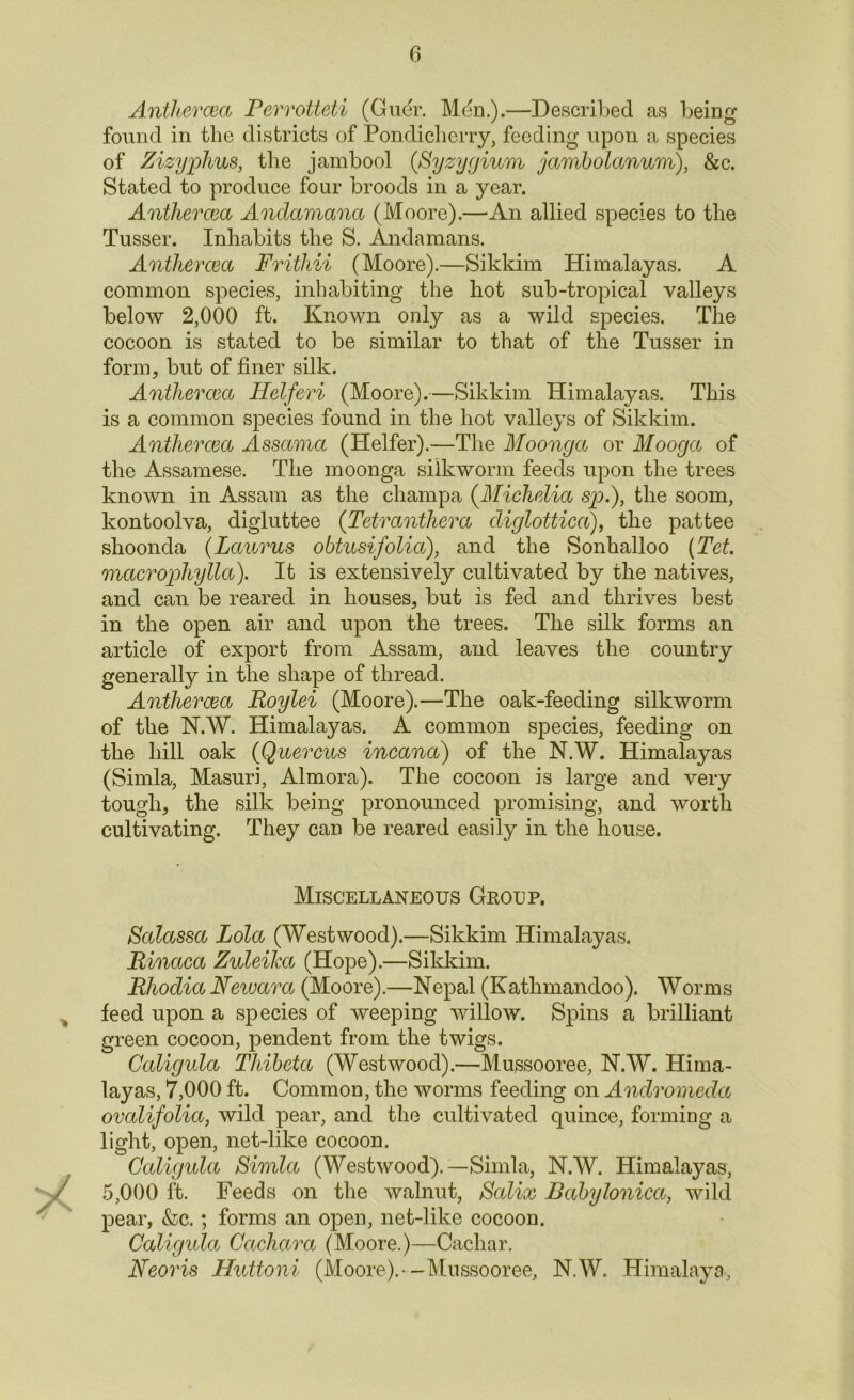 Anther cm Perrotteti (Guer. Men.).—Described as being found in the districts of Pondicherry, feeding upon a species of Zizyphus, the jambool (Syzygium jambolanum), &c. Stated to produce four broods in a year. Anthercea Andamana (Moore).—An allied species to the Tusser. Inhabits the S. Andamans. Anthercea Frithii (Moore).—Sikkim Himalayas. A common species, inhabiting the hot sub-tropical valleys below 2,000 ft. Known only as a wild species. The cocoon is stated to be similar to that of the Tusser in form, but of finer silk. Anthercea Helferi (Moore).—Sikkim Himalayas. This is a common species found in the hot valleys of Sikkim. Anthercea Assama (Heifer).—The Moonga or Mooga of the Assamese. The moonga silkworm feeds upon the trees known in Assam as the charnpa (Michelia sp.), the soom, kontoolva, digluttee (Tetranthera diglottica), the pattee shoonda (Lcmrus obtusifolia), and the Sonhalloo (Tet. macrophylla). It is extensively cultivated by the natives, and can be reared in houses, but is fed and thrives best in the open air and upon the trees. The silk forms an article of export from Assam, and leaves the country generally in the shape of thread. Anthercea Roylei (Moore).—The oak-feeding silkworm of the N.W. Himalayas. A common species, feeding on the hill oak (Quercus incana) of the N.W. Himalayas (Simla, Masuri, Almora). The cocoon is large and very tough, the silk being pronounced promising, and worth cultivating. They can be reared easily in the house. Miscellaneous Group. Salassa Lola (Westwood).—Sikkim Himalayas. Rinaca Zuleilca (Hope).—Sikkim. Rhodia Newara (Moore).—Nepal (Kathmandoo). Worms feed upon a species of weeping willow. Spins a brilliant green cocoon, pendent from the twigs. Caligula Thibeta (Westwood).—Mussooree, N.W. Hima- layas, 7,000 ft. Common, the worms feeding on Andromeda ovalifolia, wild pear, and the cultivated quince, forming a light, open, net-like cocoon. Caligula Simla (Westwood).—Simla, N.W. Himalayas, v/ 5,000 ft. Feeds on the walnut, Salix Babylonica, wild pear, &c.; forms an open, net-like cocoon. Caligula Cachara (Moore.)—Cacliar. Neoris Huttoni (Moore).--Mussooree, N.W. Himalaya,