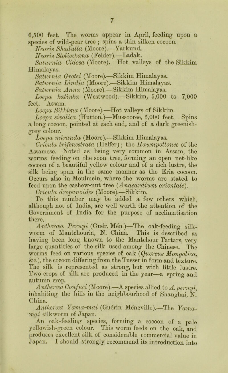 6,500 feet. The worms appear in April, feeding upon a species of wild-pear tree ; spins a thin silken cocoon. JSTeoris Shadulla (Moore).—Yarkand. Neoris Stoliczkana (Felder).—Ladak. Saturnia Cidosa (Moore). Hot valleys of the Sikkim Himalayas. Saturnia Grotei (Moore).—Sikkim Himalayas. Saturnia Lindia (Moore).—Sikkim Himalayas. Saturnia Anna (Moore).—Sikkim Himalayas. Loepa katinka (Westwood).—Sikkim, 5,000 to 7,000 feet. Assam. Loepa Sikkima (Moore).—Hot valleys of Sikkim. Loepa sivcdica (Hutton.)—Mussooree, 5,000 feet. Spins a long cocoon, pointed at each end, and of a dark greenisli- grey colour. Loepa miranda (Moore).—Sikkim Himalayas. Cricula trifenestrata (Heifer); the Haumpottonee of the Assamese.—Noted as being very common in Assam, the worms feeding on the soon tree, forming an open net-like cocoon of a beautiful yellow colour and of a rich lustre, the silk being spun in the same manner as the Eria cocoon. Occurs also in Moulmein, where the worms are stated to feed upon the cashew-nut tree (Anacardium orientate). Cricula drepanoides (Moore).—Sikkim. To this number may be added a few others which, although not of India, are well worth the attention of the Government of India for the purpose of acclimatisation there. Anthercea, Pernyi (Guer. Mdn.)—The oak-feeding silk- worm of Mantchouria, N. China. This is described as having been long known to the Mantchour Tartars, very large quantities of the silk used among the Chinese. The worms feed on various species of oak (Quercus Mongolica, &c.), the cocoon differing from the Tusser in form and texture. The silk is represented as strong, but with little lustre. Two crops of silk are produced in the year—a spring and autumn crop. Anthercea Confuci (Moore).—A species allied to A. pernyi, inhabiting the hills in the neighbourhood of Shangh ai, N. China. Anthercea Yama-mai (Gudrin Menevillc).—The Ycima- mai silkworm of Japan. An oak-feeding species, forming a cocoon of a pale yellowish-green colour. This worm feeds on the oak, and produces excellent silk of considerable commercial value in Japan. I should strongly recommend its introduction into