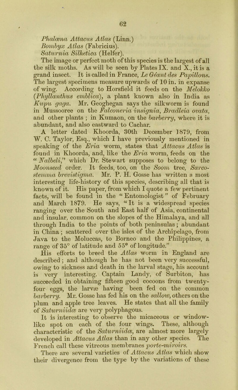 Phalcena Attacus Atlas (Linn.) Bombyx Atlas (Fabricius). Saturnia Silhetica (Heifer). The image or perfect moth of this species is the largest of all the silk moths. As will be seen by Plates IX. and X., it is a grand insect. It is called in France, Le Geant des Papillons. The largest specimens measure upwards of 10 in. in expanse of wing. According to Horsfield it feeds on the Melokko (Phyllanthus emblica), a plant known also in India as Kupu gaga. Mr. Geoghegan says the silkworm is found in Mussooree on the Falconeria insignia, Bradleia ovata, and other plants ; in Kumaon, on the barberry, where it is abundant, and also eastward to Cachar. A letter dated Khoorda, 30th December 1879, from W. C. Taylor, Esq., which I have previously mentioned in speaking of the Eria worm, states that Attacus Atlas is found in Khoorda, and, like the Eria worm, feeds on the “ Nalbeli,” which Dr. Stewart supposes to belong to the Moonseed order. It feeds, too, on the Boom tree, Sarco- stemma brevistigma. Mr. P. H. Gosse has written a most interesting life-history of this species, describing all that is known of it. His paper, from which I quote a few pertinent facts, will be found in the “Entomologist” of February and March 1879. He says. “It is a widespread species ranging over the South and East half of Asia, continental and insular, common on the slopes of the Himalaya, and all through India to the points of both peninsulas; abundant in China; scattered over the isles of the Archipelago, from Java to the Moluccas, to Borneo and the Philippines, a range of 35° of latitude and 55° of longitude.” His efforts to breed the Atlas worm in England are described ; and although he has not been very successful, owing to sickness and death in the larval stage, his account is very interesting. Captain Landy, of Surbiton, -has succeeded in obtaining fifteen good cocoons from twenty- four eggs, the larvae having been fed on the common barberry. Mr. Gosse has fed his on the sallotv, others on the plum and apple tree leaves. He states that all the family of Saturniidce are very polyphagous. It is interesting to observe the micaceous or window- like spot on each of the four wings. These, although characteristic of the Saturniidce, are almost more largely developed in Attacus Atlas than in any other species. The French call these vitreous membranes porte-miroirs. There are several varieties of Attacus Atlas which show their divergence from the type by the variations of these