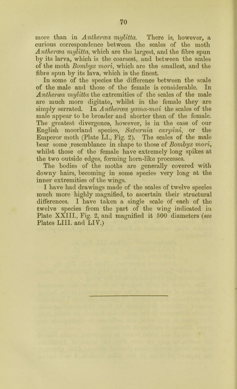 more than in Anthercea mylitta. There is, however, a curious correspondence between the scales of the moth Anthercea mylitta, which are the largest, and the fibre spun by its larva, which is the coarsest, and between the scales of the moth Bornbyx mori, which are the smallest, and the fibre spun by its lava, which is the finest. In some of the species the difference between the scale of the male and those of the female is considerable. In Anthercea mylitta the extremities of the scales of the male are much more digitate, whilst in the female they are simply serrated. In Anthercea yama-mai the scales of the male appear to be broader and shorter than of the female. The greatest divergence, however, is in the case of our English moorland species, Satwrnia carpini, or the Emperor moth (Plate LI., Fig. 2). The scales of the male bear some resemblance in shape to those of Bornbyx mori, whilst those of the female have extremely long spikes at the two outside edges, forming horn-like processes. The bodies of the moths are generally covered with downy hairs, becoming in some species very long at the inner extremities of the wings. I have had drawings made of the scales of twelve species much more highly magnified, to ascertain their structural differences. I have taken a single scale of each of the twelve species from the part of the wing indicated in Plate XXIII., Fig. 2, and magnified it 500 diameters (see Plates LIII. and LIV.)