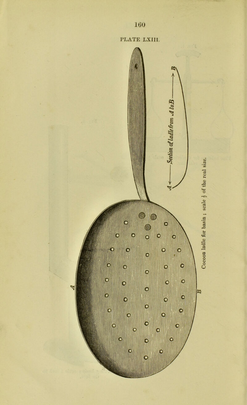 PLATE LXIII.