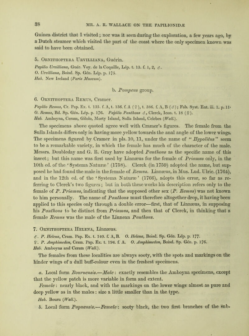 Guinea district that I visited ; nor was it seen during the exploration, a few years ago, by a Dutch steamer which visited the part of the coast where the only specimen known was said to have been obtained. 5. Ornithoptera Urvilliana, Guerin. Papilio Urvilliana, Guer. Voy. de la Coquille, Lep. t. 13. f. 1, 2, 3. 0. Urvilliana, Boisd. Sp. Gen. Lep. p. 175. Hab. New Ireland (Paris Museum). b. Pompeus group. 6. Ornithoptera Remus, Cramer. Papilio Remus, Cr. Pap. Ex. t. 135. f. A, t. 136. f. A ( $), t. 386. f. A, B (6); Fab. Syst. Ent. iii. 1. p. 11- 0. Remus, Bd. Sp. Gen. Lep. p. 176. Papilio Panthous 6, Clerck, Icon. t. 18 ($). Hab. Amboyna, Ceram, Gilolo, Morty Island, Sulla Island, Celebes [Wall.). The specimens above quoted agree well with Cramer’s figures. The female from the Sulla Islands differs only in having more yellow towards the anal angle of the lower wings. The specimens figured by Cramer in pis. 10, 11, under the name of “ FEypolitus ” seem to be a remarkable variety, in which the female has much of the character of the male. Messrs. Doubleday and G. R. Gray have adopted Xanthous as the specific name of this insect; but this name was first used by Linnaeus for the female of Priamus only, in the 10th ed. of the ‘ Systema Naturae ’ (1758). Clerck (in 1759) adopted the name, but sup- posed he had found the male in the female of Pemus. Linnaeus, in Mus. Lud. Ulric. (1764), and in the 12th ed. of the ‘Systema Naturae’ (1766), adopts this error, so far as re- ferring to Clerck’s two figures; but in both these works his description refers only to the female of P. Priamus, indicating that the supposed other sex (P. Pemus) was not known to him personally. The name of Panthous must therefore altogether drop, it having been applied to this species only through a double error—first, that of Linnaeus, in supposing his Panthous to be distinct from Priamus, and then that of Clerck, in thinking that a female Pemus was the male of the Linnean Panthous. 7. Ornithoptera Helena, Linnaeus. <3. P. Helena, Cram. Pap. Ex. t. 140. f. A, B. O. Helena, Boisd. Sp. Gen. Lep. p. 177- $. P. Amphimedon, Cram. Pap. Ex. t. 194. f. A. 0. Amphimedon, Boisd. Sp. Gen. p. 176. Hab. Amboyna and Ceram [Wall.). The females from these localities are always sooty, with the spots and markings on the hinder wings of a dull buff-colour even in the freshest specimens. a. Local form Bouruensis.—Male : exactly resembles the Amboyna specimens, except that the yellow patch is more variable in form and extent. Female : nearly black, and with the markings on the lower wings almost as pure and deep yellow as in the males: size a little smaller than in the type. Hab. Bouru [Wall.). h. Local form Papuensis.—Female: sooty black, the two first branches of the sub-