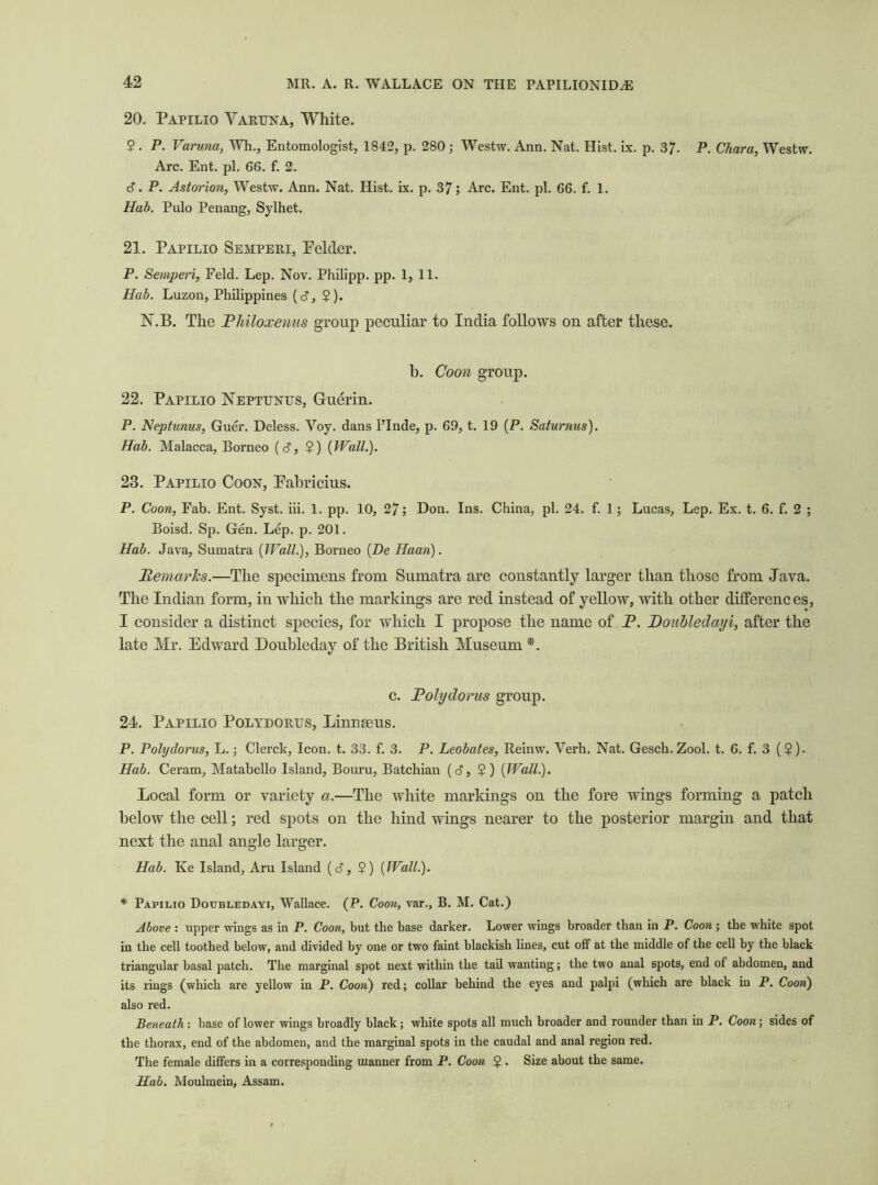 20. Papilio Varuna, White. $ . P. Varuna, Wk., Entomologist, 1842, p. 280 ; Westw. Ann. Nat. Hist. ix. p. 37- P. Chara, Westw. Arc. Ent. pi. 66. f. 2. 6. P. Astorion, Westw. Ann. Nat. Hist. ix. p. 37; Arc. Ent. pi. 66. f. 1. Hab. Pulo Penang, Sylhet. 21. Papilio Semperi, Pelder. P. Semperi, Feld. Lep. Nov. Philipp, pp. 1, 11. Hab. Luzon, Philippines {6, $). N.B. The Philoxenus group peculiar to India follows on after these. b. Coon group. 22. Papilio Neptunus, Guerin. P. Neptunus, Guer. Deless. Voy. dans FInde, p. 69, t. 19 (P. Saturnus). Hab. Malacca, Borneo (d, ?) {Wall.). 23. Papilio Coon, Pabricius. P. Coon, Fab. Ent. Syst. iii. 1. pp. 10, 27; Don. Ins. China, pi. 24. f. 1; Lucas, Lep. Ex. t. 6. f. 2 ; Boisd. Sp. Gen. Lep. p. 201. Hab. Java, Sumatra {Wall.), Borneo {Be Haan). Remarks.—The specimens from Sumatra are constantly larger than those from Java. The Indian form, in which the markings are red instead of yellow, with other differences, I consider a distinct species, for which I propose the name of P. Doubledayi, after the late Mr. Edward Doubleday of the British Museum *. c. Polydorus group. 24. Papilio Polydorus, Linnaeus. P. Polydorus, L.; Clerck, Icon. t. 33. f. 3. P. Leobates, Reinw. Verh. Nat. Gesch. Zool. t. 6. f. 3 (?). Hab. Ceram, Matabello Island, Bouru, Batchian (<J, ? ) {Wall). Local form or variety a.—The white markings on the fore wings forming a patch below the cell; red spots on the hind wings nearer to the posterior margin and that next the anal angle larger. Hab. Ke Island, Aru Island {6, $) {Wall). * Papilio Doubledayi, Wallace. (P. Coon, var., B. M. Cat.) Above : upper wings as in P. Coon, but the base darker. Lower wings broader than in P. Coon ; the white spot in the cell toothed below, and divided by one or two faint blackish lines, cut off at the middle of the cell by the black triangular basal patch. The marginal spot next within the tail wanting; the two anal spots, end of abdomen, and its rings (which are yellow in P. Coon) red; collar behind the eyes and palpi (which are black in P. Coon) also red. Beneath : base of lower wings broadly black ; white spots all much broader and rounder than in P. Coon; sides of the thorax, end of the abdomen, and the marginal spots in the caudal and anal region red. The female differs in a corresponding manner from P. Coon $ . Size about the same. Hab. Moulmein, Assam.