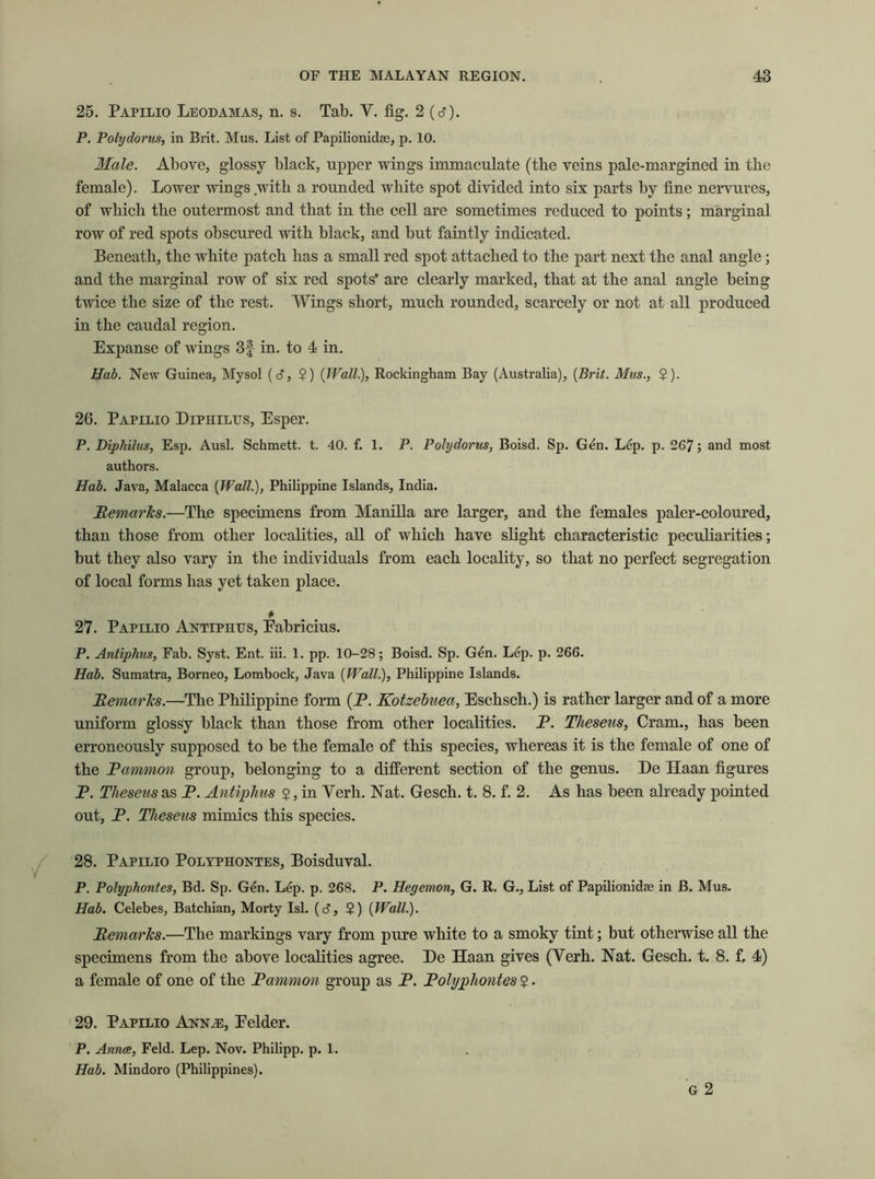 25. Papilio Leodamas, n. s. Tab. V. fig. 2 (d). P. Polydorus, in Brit. Mus. List of Papilionidae, p. 10. Male. Above, glossy black, upper wings immaculate (the veins pale-margined in the female). Lower wings with a rounded white spot divided into six parts by fine nervures, of which the outermost and that in the cell are sometimes reduced to points; marginal row of red spots obscured with black, and but faintly indicated. Beneath, the white patch has a small red spot attached to the part next the anal angle; and the marginal row of six red spots' are clearly marked, that at the anal angle being twice the size of the rest. Wings short, much rounded, scarcely or not at all produced in the caudal region. Expanse of wings 3f in. to 4 in. Hab. New Guinea, Mysol (6, $) {Wall), Rockingham Bay (Australia), {Brit. Mus., ?). 26. Papilio Diphiltjs, Esper. P. Diphilus, Esp. Ausl. Schmett. t. 40. f. 1. P. Polydorus, Boisd. Sp. Gen. Lep. p. 267 ; and most authors. Hab. Java, Malacca {Wall), Philippine Islands, India. Remarks.—The specimens from Manilla are larger, and the females paler-coloured, than those from other localities, all of which have slight characteristic peculiarities; but they also vary in the individuals from each locality, so that no perfect segregation of local forms has yet taken place. * 27. Papilio Antiphus, Eabricius. P. Antiphus, Fab. Syst. Ent. iii. 1. pp. 10-28; Boisd. Sp. Gen. Lep. p. 266. Hab. Sumatra, Borneo, Lombock, Java {Wall), Philippine Islands. Remarks.—The Philippine form (P. Kotzebuea, Eschsch.) is rather larger and of a more uniform glossy black than those from other localities. P. Theseus, Cram., has been erroneously supposed to be the female of this species, whereas it is the female of one of the Rammon group, belonging to a different section of the genus. De Haan figures P. Theseus as P. Antiphus $, in Yerh. Nat. Gesch. t. 8. f. 2. As has been already pointed out, P. Theseus mimics this species. 28. Papilio Polyphontes, Boisduval. P. Polyphontes, Bd. Sp. Gen. Lep. p. 268. P. Hegemon, G. R. G., List of Papilionidae in B. Mus. Hab. Celebes, Batchian, Morty Isl. (d, 2) {Wall). Remarks.—The markings vary from pure white to a smoky tint; but otherwise all the specimens from the above localities agree. De Haan gives (Verh. Nat. Gesch. t. 8. f. 4) a female of one of the Rammon group as P. Rolyphontes $. 29. Papilio Annje, Eelder. P. Anna, Feld. Lep. Nov. Philipp, p. 1. Hab. Mindoro (Philippines). G 2