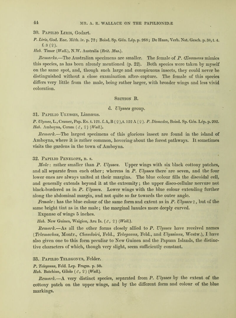 30. Papilio Lip.is, Godart. P. Liris, God. Enc. Meth. iv. p. 72 ; Boisd. Sp. Gen. Lep. p. 26S ; De Haan, Verh. Nat. Gesch. p. 38, t. 4. f.3 ($). Hab. Timor (Wall.), N.W. Australia {Brit. Mus.). Remarks.—The Australian specimens are smaller. The female of P. (Enomaus mimics this species, as has been already mentioned (p. 22). Both species were taken hy myself on the same spot, and, though such large and conspicuous insects, they could never he distinguished without a close examination after* capture. The female of this species differs very little from the male, being rather larger, with broader wings and less vivid coloration. Section B. d. TJlysses group. 31. Papilio Ulysses, Linnteus. P. Ulysses, L., Cramer, Pap. Ex. 1.121. f. A, B ( $ ),t. 122 A ( ? ). P. Diomedes, Boisd. Sp. Gen. Lep. p. 202. Hab. Amboyna, Ceram (d, $) {Wall.). Remark.—The largest specimens of this glorious insect are found in the island of Amboyna, where it is rather common, hovering about the forest pathways. It sometimes visits the gardens in the town of Amboyna. 32. Papilio Penelope, n. s. Male: rather smaller than P. Ulysses. Upper wings with six black cottony patches, and all separate from each other; whereas in P. Ulysses there are seven, and the four lower ones are always united at their margins. The blue colour fills the discoidal cell, and generally extends beyond it at the extremity; the upper disco-cellular nervure not black-bordered as in P. Ulysses. Lower wings with the blue colour extending further along the abdominal margin, and not quite so far towards the outer angle. Female: has the blue colour of the same form and extent as in P. Ulysses $, but of the same bright tint as in the male; the marginal lunules more deeply curved. Expanse of wings 5 inches. Hab. New Guinea, Waigiou, Aru Is. (d, $) {Wall.). Remark.—As all the other forms closely allied to P. Ulysses have received names {Telemachus, Montr., Chaudoiri, Eeld., Telegonus, Eeld., and Ulyssinus, Westw.), I have also given one to this form peculiar to New Guinea and the Papuan Islands, the distinc- tive characters of which, though very slight, seem sufficiently constant. 33. Papilio Telegonus, Eelder. P. Telegonus, Feld. Lep. Fragm. p. 50. Hab. Batchian, Gilolo (d, $) {Wall.). Remark.—A very distinct species, separated from P. Ulysses by the extent of the cottony patch on the upper wings, and by the different form and colour of the blue markings.