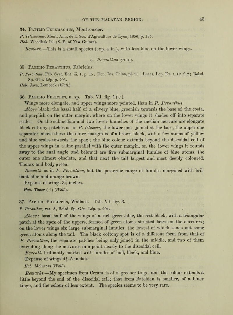 34. Papilio Telemachtjs, Montrouzier. P. Telemachus, Mont. Ann. de la Soc. d’Agriculture de Lyon, 1856, p. 395. Hab. Woodlark Isl. (S. E. of New Guinea). Remark.—This is a small species (exp. 4 in.), with less blue on the lower wings. e. Reran thus group. 35. Papilio Peranthus, Pabricius. P. Peranthus, Fab. Syst. Ent. iii. 1. p. 15; Don. Ins. China, pi. 26; Lucas, Lep. Ex. t. 12. f. 2; Boisd. Sp. Gen. Lep. p. 203. Hab. Java, Lombock {Wall.). 36. Papilio Pericles, n. sp. Tab. VI. fig. 1(d). Wings more elongate, and upper wings more pointed, than in P. Peranthus. Above black, the basal half of a silvery blue, greenish towards the base of the costa, and purplish on the outer margin, where on the lower wings it shades off into separate scales. On the submedian and two lower branches of the median nervure are elongate black cottony patches as in P. Ulysses, the lower ones joined at the base, the upper one separate; above these the outer margin is of a brown black, with a few atoms of yellow and blue scales towards the apex; the blue colour extends beyond the discoidal cell of the upper wings in a line parallel with the outer margin, on the lower wings it rounds away to the anal angle, and below it are five submarginal lunules of blue atoms, the outer one almost obsolete, and that next the tail largest and most deeply coloured. Thorax and body green. Beneath as in P. Peranthus, but the posterior range of lunules margined with bril- liant blue and orange brown. Expanse of wings 3^ inches. Hab. Timor (d) [Wall.). 37. Papilio Philippus, Wallace. Tab. YI. fig. 3. P. Peranthus, var. A, Boisd. Sp. Gen. Lep. p. 204. Above: basal half of the wings of a rich green-blue, the rest black, with a triangular patch at the apex of the uppers, formed of green atoms situated between the nervures; on the lower wings six large submarginal lunules, the lowest of which sends out some green atoms along the tail. The black cottony spot is of a different form from that of P. Peranthus, the separate patches being only joined in the middle, and two of them extending along the nervures in a point nearly to the discoidal cell. Beneath brilliantly marked with lunules of buff, black, and blue. Expanse of wings 4^-5 inches. Hab. Moluccas {Wall.). Remarks.—My specimen from Ceram is of a greener tinge, and the colour extends a little beyond the end of the discoidal cell; that from Batchian is smaller, of a bluer tinge, and the colour of less extent. The species seems to be very rare.