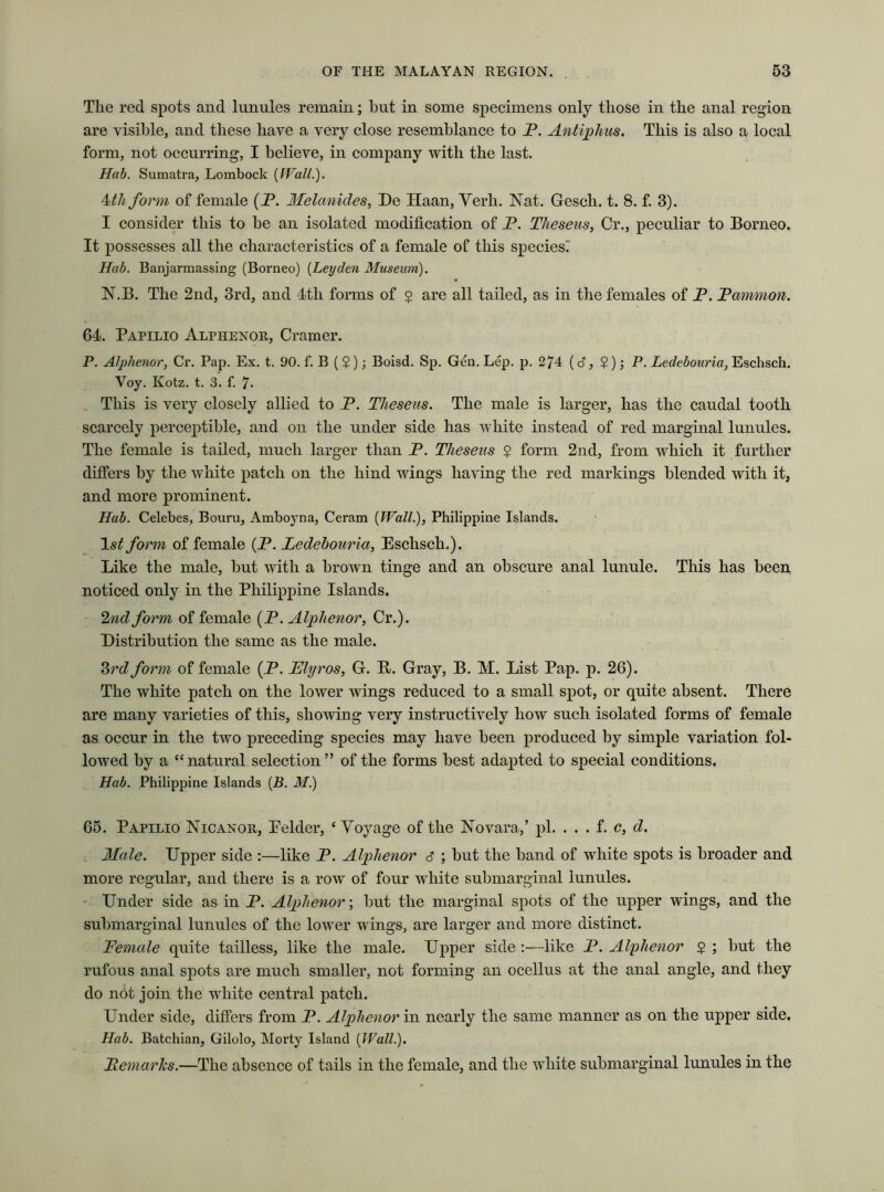 The red spots and lunules remain; hut in some specimens only those in the anal region are visible, and these have a very close resemblance to P. Antiphus. This is also a local form, not occurring, I believe, in company with the last. Hab. Sumatra, Lombock (Wall.). 4th form of female (P. Melanides, De Haan, Verb. Nat. Gesch. t. 8. f. 3). I consider this to he an isolated modification of P. Theseus, Cr., peculiar to Borneo. It possesses all the characteristics of a female of this speciesi Hub. Banjarmassing (Borneo) (Leyden Museum). N.B. The 2nd, 3rd, and 4tli forms of $ are all tailed, as in the females of P. Fammon. 64. Papllio Alphenor, Cramer. P. Alphenor, Cr. Pap. Ex. t. 90. f. B ( $ ); Boisd. Sp. Gen. Lep. p. 274 (6, ?); P. Ledebouria, Eschsch. Voy. Kotz. t. 3. f. 7. This is very closely allied to P. Theseus. The male is larger, has the caudal tooth scarcely perceptible, and on the under side has white instead of red marginal lunules. The female is tailed, much larger than P. Theseus $ form 2nd, from which it further differs by the white patch on the hind wings having the red markings blended with it, and more prominent. Hab. Celebes, Bouru, Amboyna, Ceram (Wall.), Philippine Islands. 1st form of female (P. Ledebouria, Eschsch.). Like the male, but with a brown tinge and an obscure anal lunule. This has been noticed only in the Philippine Islands. 2nd form of female (P. Alphenor, Cr.). Distribution the same as the male. 3rd form of female (P. JElyros, G. B. Gray, B. M. List Pap. p. 26). The white patch on the lower wings reduced to a small spot, or quite absent. There are many varieties of this, showing very instructively how such isolated forms of female as occur in the two preceding species may have been produced by simple variation fol- lowed by a “natural selection” of the forms best adapted to special conditions. Hab. Philippine Islands (B. M.) 65. Papilio Nicanor, Eelder, ‘Voyage of the Novara,’ pi. . . . f. c, d. Male. Upper side :—like P. Alphenor 6 ; but the band of white spots is broader and more regular, and there is a row of four white submarginal lunules. Under side as in P. Alphenor-, but the marginal spots of the upper wings, and the submarginal lunules of the lower wings, are larger and more distinct. Female quite tailless, like the male. Upper side :—like P. Alphenor $ ; but the rufous anal spots are much smaller, not forming an ocellus at the anal angle, and they do n6t join the white central patch. Under side, differs from P. Alphenor in nearly the same manner as on the upper side. Hab. Batchian, Gilolo, Morty Island (Wall.). ItemarJcs.—The absence of tails in the female, and the white submarginal lunules in the