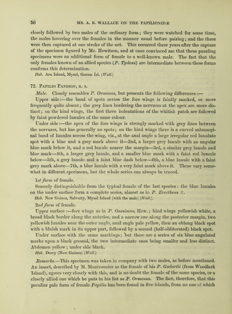 closely followed by two males of the ordinary form ; they were watched for some time, the males hovering over the females in the manner usual before pairing; and the three were then captured at one stroke of the net. This occurred three years after the capture of the specimen figured by Mr. Hewitson, and at once convinced me that these puzzling specimens were an additional form of female to a well-known male. The fact that the only females known of an allied species (P. Tydeus) are intermediate between these forms confirms this determination. Hab. Aru Island, Mysol, Goram Isl. {Wall.) 72. Papilio Pandion, n. s. Male. Closely resembles P. Ormenus, but presents the following differences :— Upper side:—the band of spots across the fore wings is faintly marked, or more frequently quite absent; the grey lines bordering the nervures at the apex are more dis- tinct ; on the hind wings, the first three indentations of the whitish patch are followed by faint powdered lunules of the same colour. Under side:—the apex of the fore wings is strongly marked with grey lines between the nervures, but has generally no spots; on the hind wings there is a curved submargi- nal band of lunules across the wing, viz., at the anal angle a large irregular red lunulate spot with a blue and a grey mark above it—2nd, a larger grey lunule with an angular blue mark below it, and a red lunule nearer the margin—3rd, a similar grey lunule and blue mark—4th, a larger grey lunule, and a smaller blue mark with a faint red lumule below—5th, a grey lunule and a faint blue dash below—6th, a blue lunule with a faint grey mark above—7th, a blue lunule with a very faint mark above it. These vary some- what in different specimens, but the whole series can always be traced. 1st form of female. Scarcely distinguishable from the typical female of the last species : the blue lunules on the under surface form a complete series, almost as in P. Erectheus $. Hab. New Guinea, Salwatty, Mysol Island (with the male) {Wall.). 2nd form of female. Upper surface :—fore wings as in P. Onesimus, Hew.; hind wings yellowish white, a broad black border along the anterior, and a narrow one along the posterior margin, two yellowish lunules near the outer angle, anal angle pale yellow, then an oblong black spot with a bluish mark in its upper part, follotved by a second (half-obliterated) black spot. Under surface with the same markings; hut there are a series of six blue angulated marks upon a black ground, the ttvo intermediate ones being smaller and less distinct. Abdomen yellow ; under side black. Hub. Dorey (New Guinea) {Wall.) Remarks.—This specimen was taken in company with two males, as before mentioned. An insect, described by M. Montrouzier as the female of his P. Godartii (from Woodlark Island), agrees very closely with this, and is no doubt the female of the same species, or a closely allied one which he puts in his list as P. Ormenus. The fact, therefore, that this peculiar pale form of female Rapilio has been found in five islands, from no one of which