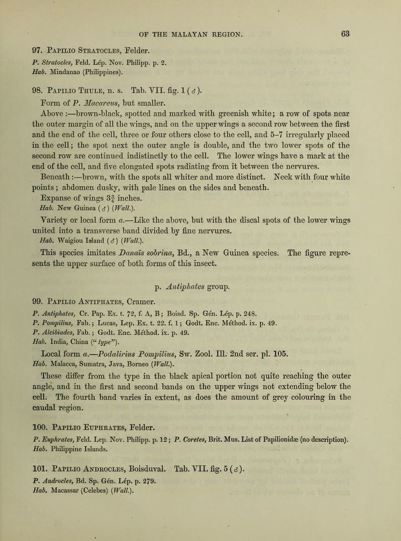97. Papilio Stratocles, Eelder. P. Stratocles, Feld. Lep. Nov. Philipp, p. 2. Hab. Mindanao (Philippines). 98. Papilio Thule, n. s. Tab. VII. fig. 1(d). Porm of P. Macareus, but smaller. Above :—brown-black, spotted and marked with greenish white; a row of spots near the outer margin of all the wings, and on the upper wings a second row between the first and the end of the cell, three or four others close to the cell, and 5-7 irregularly placed in the cell; the spot next the outer angle is double, and the two lower spots of the second row are continued indistinctly to the cell. The lower wings have a mark at the end of the cell, and five elongated spots radiating from it between the nervures. Beneath:—brown, with the spots all whiter and more distinct. Neck with four white points ; abdomen dusky, with pale lines on the sides and beneath. Expanse of wings 3f inches. Hab. New Guinea (d) {Wall.). Variety or local form a.—Like the above, but with the discal spots of the lower wings united into a transverse band divided by fine nervures. Hab. Waigiou Island (d) {Wall.). This species imitates Danais sobrinci, Bd., a New Guinea species. The figure repre- sents the upper surface of both forms of this insect. p. Antiphates group. 99. Papilio Antiphates, Cramer. P. Antiphates, Cr. Pap. Ex. t. 72, f. A, B; Boisd. Sp. Gen. Lep. p. 248. P. Pompilius, Fab.; Lucas, Lep. Ex. t. 22. f. 1; Godt. Enc. Method, ix. p. 49. P. Alcibiades, Fab.; Godt. Enc. Method, ix. p. 49. Hab. India, China {“type”). Local form a.—Podalirius Pompilius, Sw. Zool. 111. 2nd ser. pi. 105. Hab. Malacca, Sumatra, Java, Borneo {Wall.). These differ from the type in the black apical portion not quite reaching the outer angle, and in the first and second bands on the upper wings not extending below the cell. The fourth band varies in extent, as does the amount of grey colouring in the caudal region. 100. Papilio Euphrates, Eelder. P. Euphrates, Feld. Lep. Nov. Philipp, p. 12; P. Coretes, Brit. Mus. List of Papilionidae (no description). Hab. Philippine Islands. 101. Papilio Androcles, Boisduval. Tab. VII. fig. 5(d). P. Androcles, Bd. Sp. Gen. Lep. p. 279. Hab. Macassar (Celebes) {Wall.).