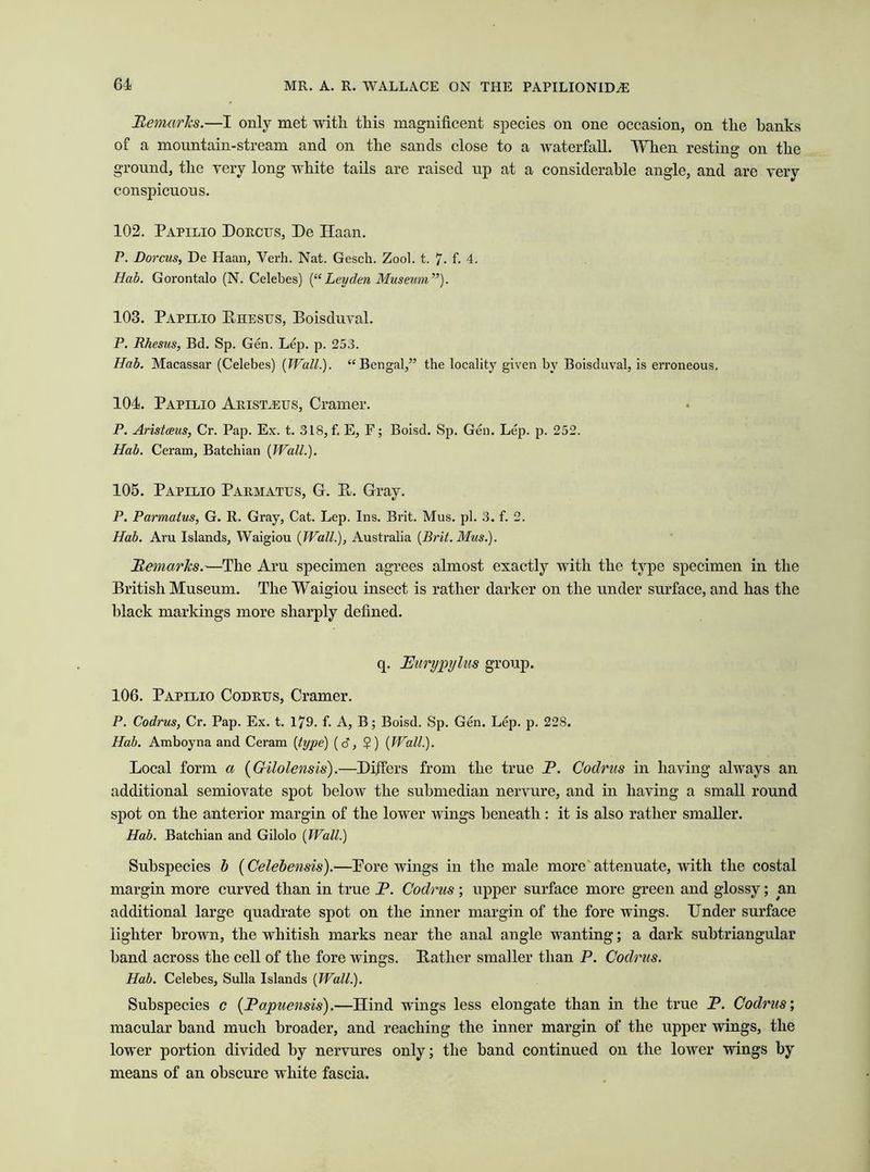 'Remarks.—I only met with this magnificent species on one occasion, on the hanks of a mountain-stream and on the sands close to a waterfall. When resting on the ground, the very long white tails are raised up at a considerable angle, and are very conspicuous. 102. Papilio Dorcus, De Haan. P. Dorcus, De Haan, Verh. Nat. Gesch. Zool. t. 7- 4. Hab. Gorontalo (N. Celebes) (“Leyden Museum”). 103. Papilio Rhesus, Boisduval. P. Rhesus, Bd. Sp. Gen. Lep. p. 253. Hab. Macassar (Celebes) (Wall.). “Bengal,” the locality given by Boisduval, is erroneous. 104. Papilio Aristjsus, Cramer. P. Aristceus, Cr. Pap. Ex. t. 318, f. E, F; Boisd. Sp. Gen. Lep. p. 252. Hab. Ceram, Batchian (Wall.). 105. Papilio Parmatus, G. R. Gray. P. Parmatus, G. R. Gray, Cat. Lep. Ins. Brit. Mus. pi. 3. f. 2. Hab. Aru Islands, Waigiou (Wall.), Australia (Brit. Musi). Remarks.—The Aru specimen agrees almost exactly with the type specimen in the British Museum. The Waigiou insect is rather darker on the under surface, and has the black markings more sharply defined. q. Eurypylus group. 106. Papilio Codrus, Cramer. P. Codrus, Cr. Pap. Ex. t. 179. f. A, B; Boisd. Sp. Gen. Lep. p. 228. Hab. Amboyna and Ceram (type) (6, $) (Wall.). Local form a (Gilolensis).—Differs from the true P. Codrus in having always an additional semiovate spot below the submedian nervure, and in having a small round spot on the anterior margin of the lower wings beneath: it is also rather smaller. Hab. Batchian and Gilolo (Wall.) Subspecies b (Celebensis).—Pore wings in the male more'attenuate, with the costal margin more curved than in true P. Codrus ; upper surface more green and glossy; an additional large quadrate spot on the inner margin of the fore wings. Under surface lighter brown, the whitish marks near the anal angle wanting; a dark subtriangular hand across the cell of the fore wings. Rather smaller than P. Codrus. Hab. Celebes, Sulla Islands (Wall.). Subspecies c (Eapuensis).—Hind wings less elongate than in the true P. Codrus; macular hand much broader, and reaching the inner margin of the upper wings, the lower portion divided by nervures only; the hand continued on the lower wings by means of an obscure white fascia.