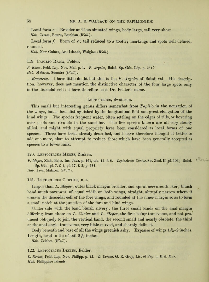 Local form e. Broader and less sinuated wings, body large, tail very short. Hab. Ceram, Bouru, Batchian (Wall.). Local form/! Form of c; tail reduced to a tooth; markings and spots well defined, rounded. Hab. New Guinea, Aru Islands, Waigiou (Wall.). 119. Papilio Bama, Felder. P. Rama, Feld. Lep. Nov. Mai. p. 1. P. Arycles, Boisd. Sp. Gen. Lep. p. 231 ? Hab. Malacca, Sumatra (Wall.). Remarks.—I have little doubt but this is the P. Arycles of Boisduval. Ilis descrip- tion, however, does not mention the distinctive character of the four large spots only in the discoidal cell; I have therefore used Dr. Felder’s name. Leptocircus, Swainson. This small but interesting genus differs somewhat from Papilio in the neuration of the wings, but is best distinguished by the longitudinal fold and great elongation of the hind wings. The species frequent water, often settling on the edges of rills, or hovering over pools and rivulets in the sunshine. The few species known are all very closely allied, and might with equal propriety have been considered as local forms of one species. Three have been already described, and I have therefore thought it better to add one more, than to attempt to reduce those which have been generally accepted as species to a lower rank. 120. Leptocircus Meges, Zinken. P. Meges, Zink. Beitr. Ins. Java, p. 161, tab. 15. f. 8. Leptocircus Curius, Sw. Zool. 111. pi. 106; Boisd. Sp. Gen. pi. 7. f. 1, pi. 17. f. 3, p. 381. Hab. Java, Malacca (Wall.). 121. Leptocircus Curtius, n. s. Larger than L. Meges; outer black margin broader, and apical nervures thicker; bluish band much narrower, of equal width on both wings, straight, abruptly narrow where it crosses the discoidal cell of the fore wings, and rounded at the inner margin so as to form a small notch at the junction of the fore and hind wings. Under side with the band bluish silvery; the three small bands on the anal margin differing from those on L. Curius and L. Meges, the first being transverse, and not pro-* duced obliquely to join the vertical band, the second small and nearly obsolete, the third at the anal angle transverse, very little curved, and sharply defined. Body beneath and base of all the wings greenish ashy. Expanse of wings 1^-2 inches. Length, head to tip of tail 2^ inches. Hab. Celebes (Wall). 122. Leptocircus Decius, Felder. L. Decius, Feld. Lep. Nov. Philipp, p. 13. L. Corion, G. R. Gray, List of Pap. in Brit. Mus. Hab. Philippine Islands.