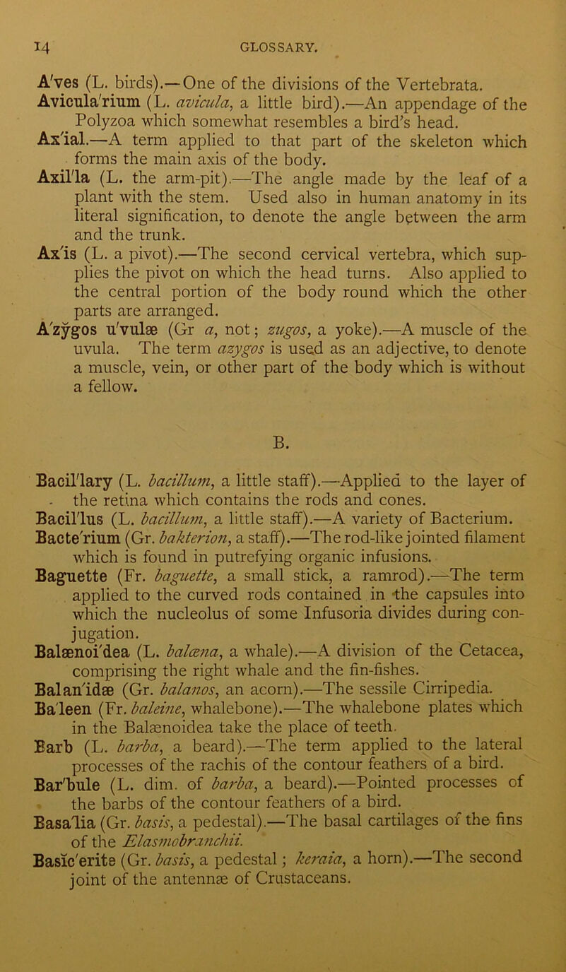 A'ves (L. birds).— One of the divisions of the Vertebrata. Avicula'rium (L. avicula, a little bird).—An appendage of the Polyzoa which somewhat resembles a bird’s head. Axial.—A term applied to that part of the skeleton which forms the main axis of the body. Axilla (L. the arm-pit).—The angle made by the leaf of a plant with the stem. Used also in human anatomy in its literal signification, to denote the angle between the arm and the trunk. Axis (L. a pivot).—The second cervical vertebra, which sup- plies the pivot on which the head turns. Also applied to the central portion of the body round which the other parts are arranged. Azygos u'vulae (Gr a, not; zugos, a yoke).—A muscle of the uvula. The term azygos is used as an adjective, to denote a muscle, vein, or other part of the body which is without a fellow. B. Bacillary (L. bacilhim, a little staff).—Applied to the layer of - the retina which contains the rods and cones. Bacillus (L. bacillum, a little staff).—A variety of Bacterium. Bactelium (Gr. bakterion, a staff).—The rod-like jointed filament which is found in putrefying organic infusions. Baguette (Fr. baguette, a small stick, a ramrod).—The term applied to the curved rods contained in -the capsules into which the nucleolus of some Infusoria divides during con- jugation. Balaenoi'dea (L. balcena, a whale).—A division of the Cetacea, comprising the right whale and the fin-fishes. Balan'idae (Gr. balanos, an acorn).—The sessile Cirripedia. Baleen (Fr. baleine, whalebone).—The whalebone plates which in the Balsenoidea take the place of teeth. Barb (L. barba, a beard).—The term applied to the lateral processes of the rachis of the contour feathers of a bird. Bar'bule (L. dim. of barba, a beard).—Pointed processes of the barbs of the contour feathers of a bird. Basalia (Gr. basis, a pedestal).—The basal cartilages of the fins of the Elasmobranchii. Basic'erite (Gr. basis, a pedestal; keraia, a horn).—The second joint of the antennae of Crustaceans.