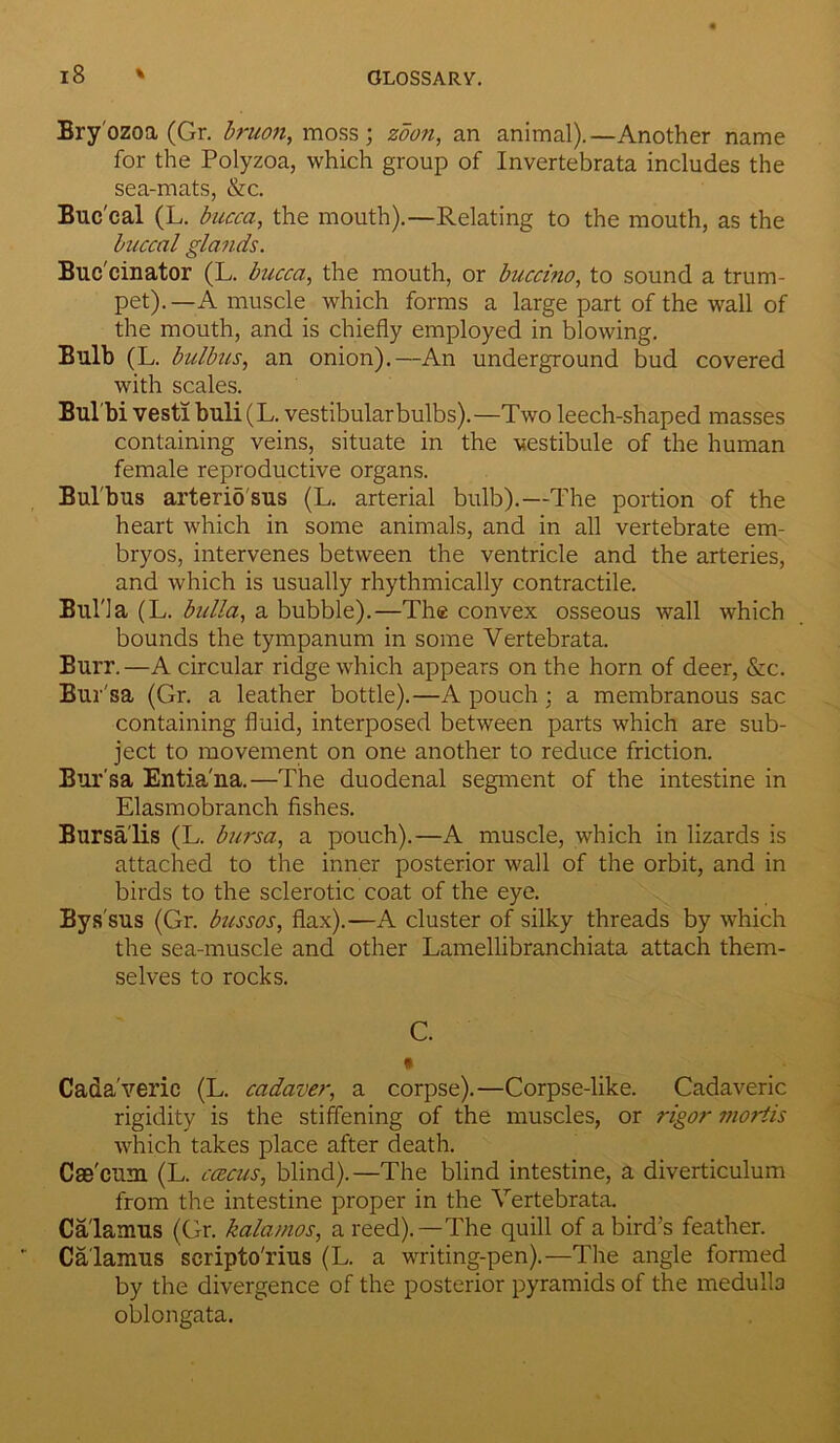 Bry'ozoa (Gr. bruon, moss; zoon, an animal).—Another name for the Polyzoa, which group of Invertebrata includes the sea-mats, &c. Buc'cal (L. bucca, the mouth).—Relating to the mouth, as the buccal glands. Buc'cinator (L. bucca, the mouth, or buccino, to sound a trum- pet).—A muscle which forms a large part of the wall of the mouth, and is chiefly employed in blowing. Bulb (L. bulbus, an onion).—An underground bud covered with scales. Bul'bi vestibuli(L. vestibular bulbs).—Two leech-shaped masses containing veins, situate in the vestibule of the human female reproductive organs. Bul'bus arterio sus (L. arterial bulb).—The portion of the heart which in some animals, and in all vertebrate em- bryos, intervenes between the ventricle and the arteries, and which is usually rhythmically contractile. Bul'la (L. bulla, a bubble).—Th® convex osseous wall which bounds the tympanum in some Yertebrata. Burr.—A circular ridge which appears on the horn of deer, &c. Bursa (Gr. a leather bottle).—A pouch; a membranous sac containing fluid, interposed between parts which are sub- ject to movement on one another to reduce friction. Bur’sa Entia'na.—The duodenal segment of the intestine in Elasmobranch fishes. Bursa lis (L. bursa, a pouch).—A muscle, which in lizards is attached to the inner posterior wall of the orbit, and in birds to the sclerotic coat of the eye. Bys'sus (Gr. bussos, flax).—A cluster of silky threads by which the sea-muscle and other Lamellibranchiata attach them- selves to rocks. C. • Cadaveric (L. cadaver, a corpse).—Corpse-like. Cadaveric rigidity is the stiffening of the muscles, or rigor mortis which takes place after death. Cas'cum (L. ccecus, blind).—The blind intestine, a diverticulum from the intestine proper in the Yertebrata. Calamus (Gr. kalamos, a reed).—The quill of a bird’s feather. Calamus scripto'rius (L. a writing-pen).—The angle formed by the divergence of the posterior pyramids of the medulla oblongata.
